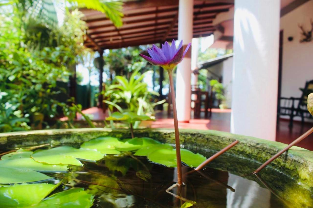 Sunrise Guest House & Restaurant