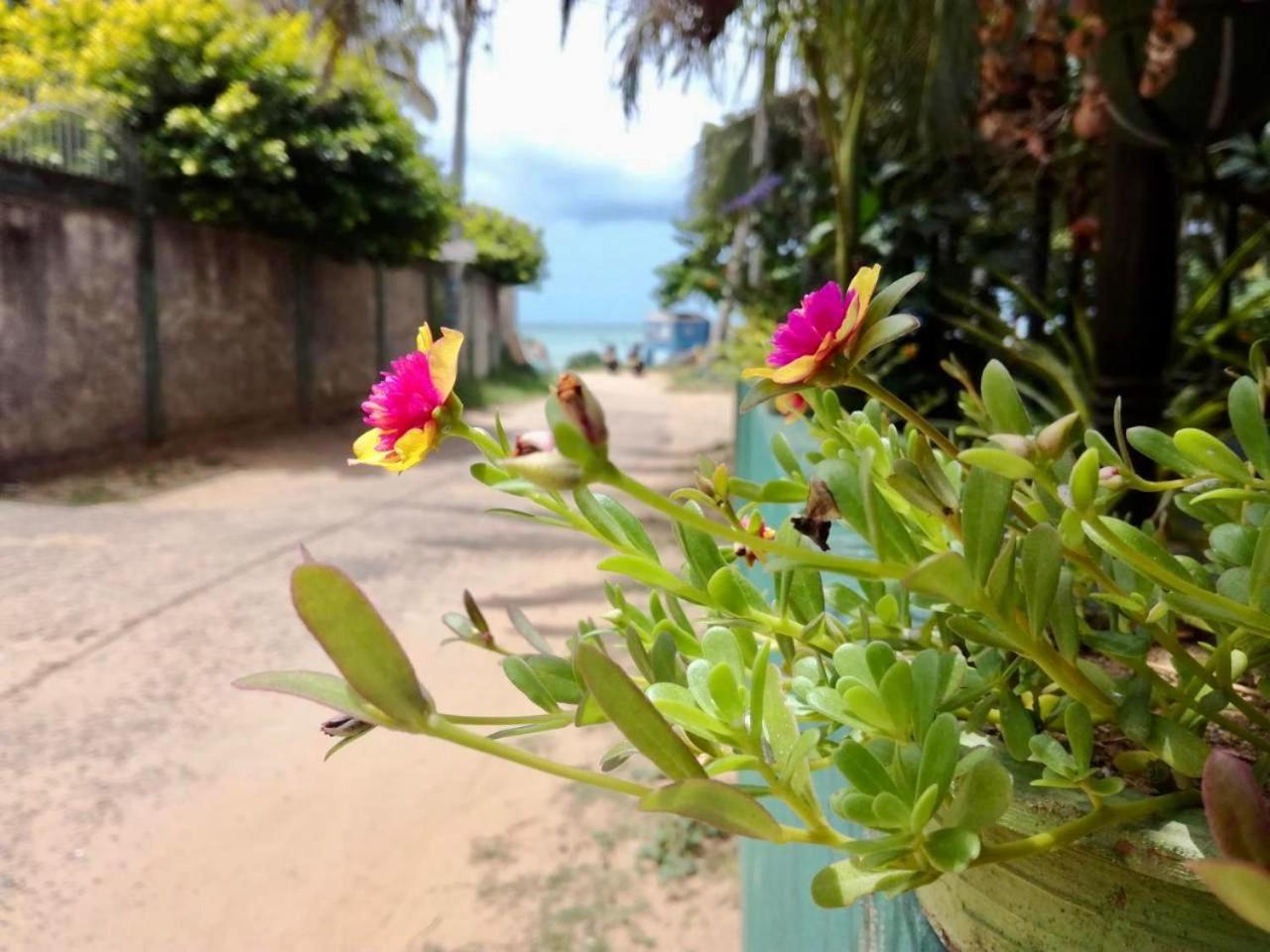 Sunrise Guest House & Restaurant