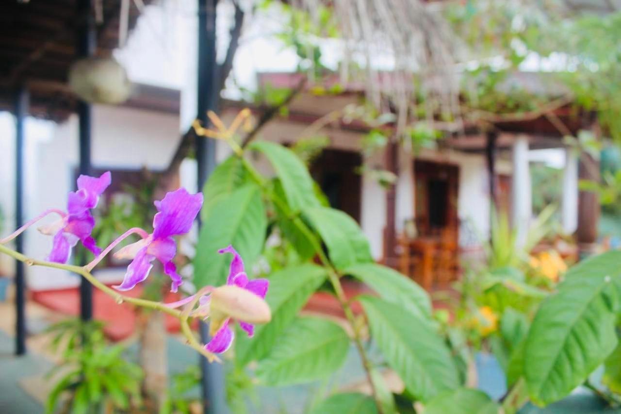 Sunrise Guest House & Restaurant
