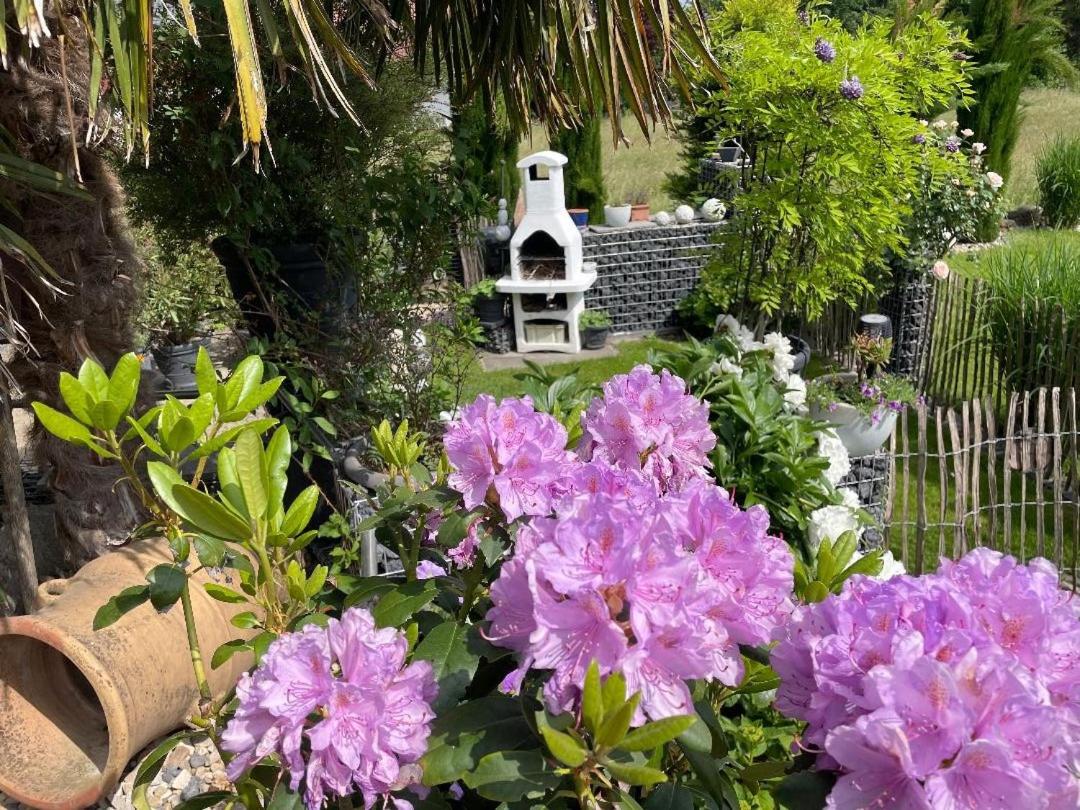 Photo 19