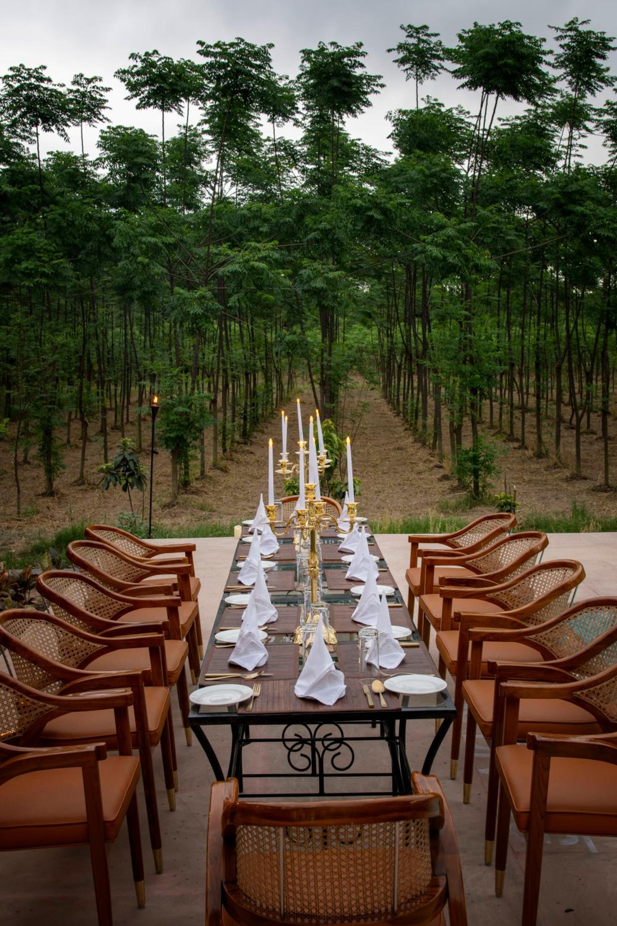 Aalia Jungle Retreat and Spa, Bandarjudh, Haridwar - Araiya Anthology view 5