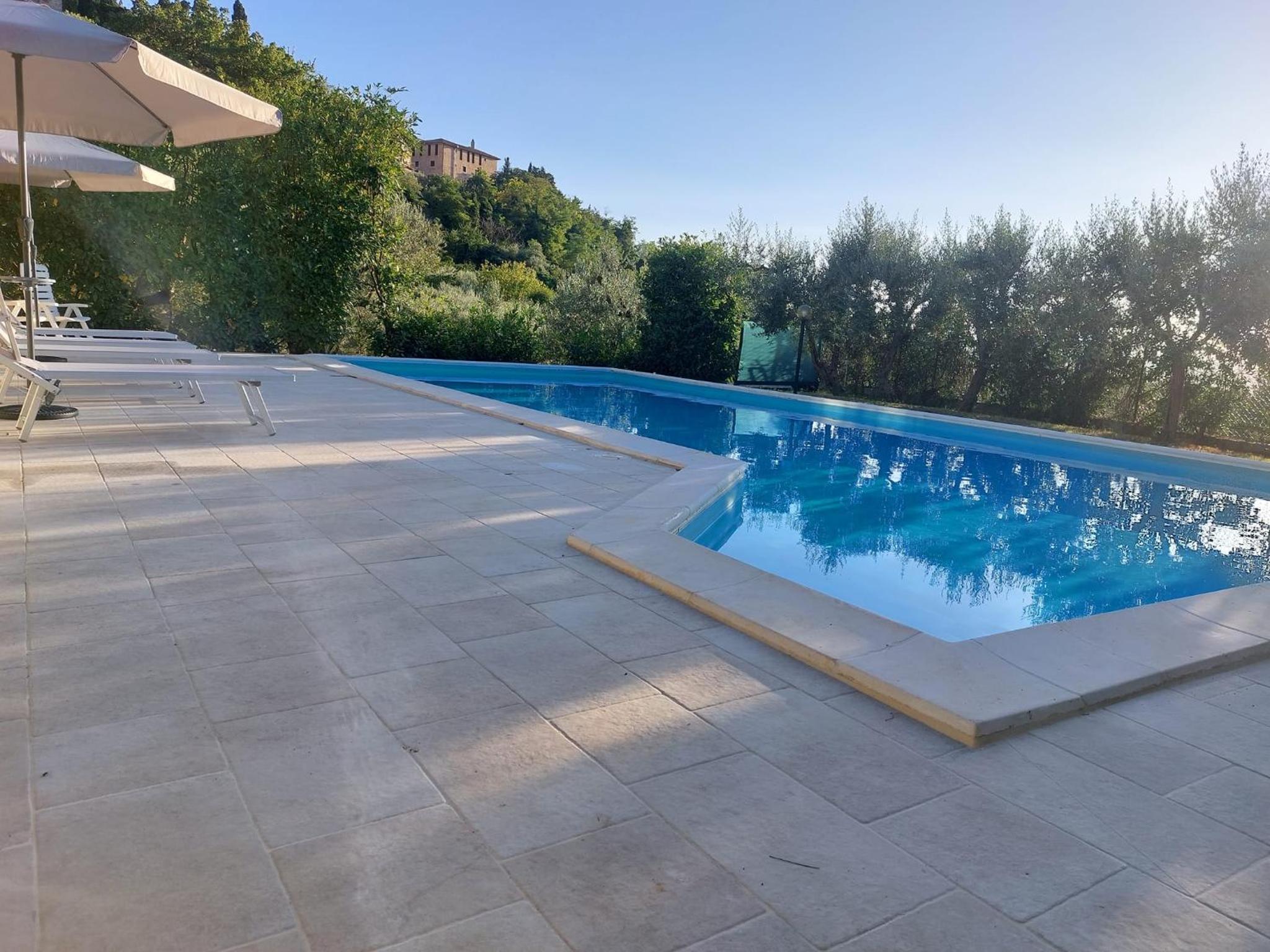 La Selvarella view 5