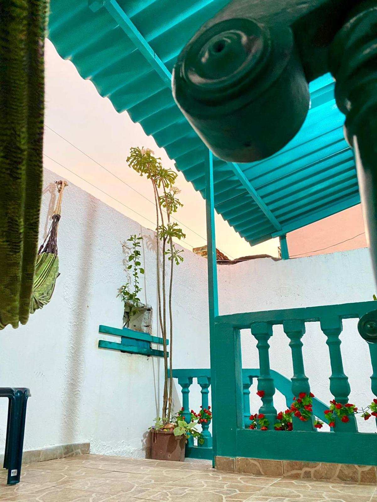 Aurelia Compartida Hospedaje