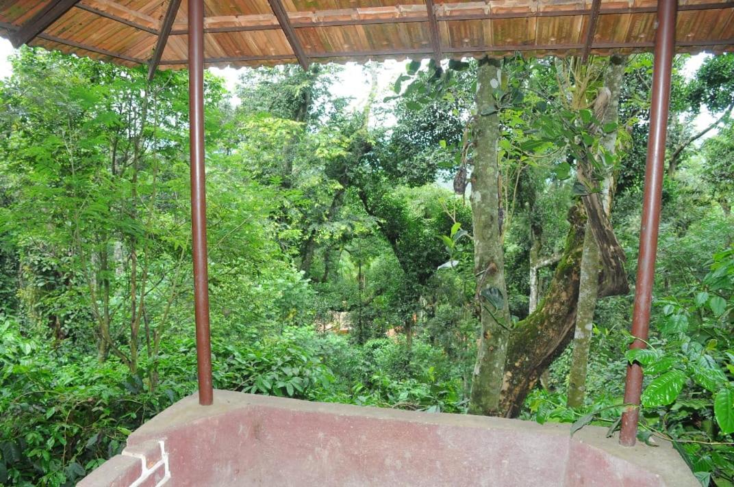 Homestay Halligade view 3