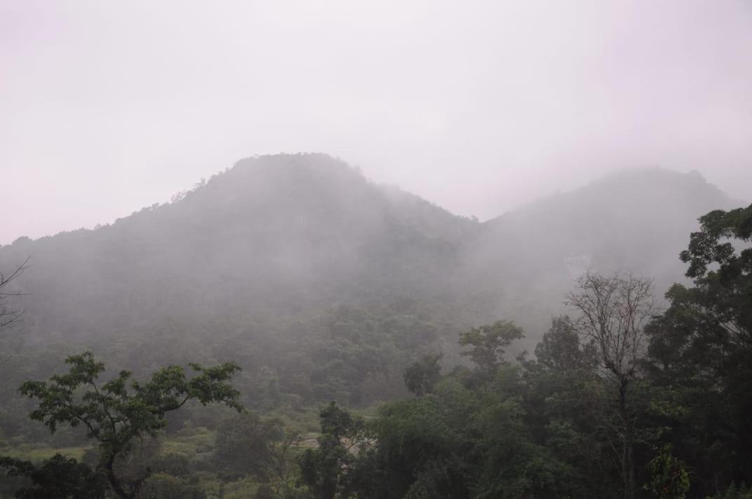 Homestay Halligade view 5