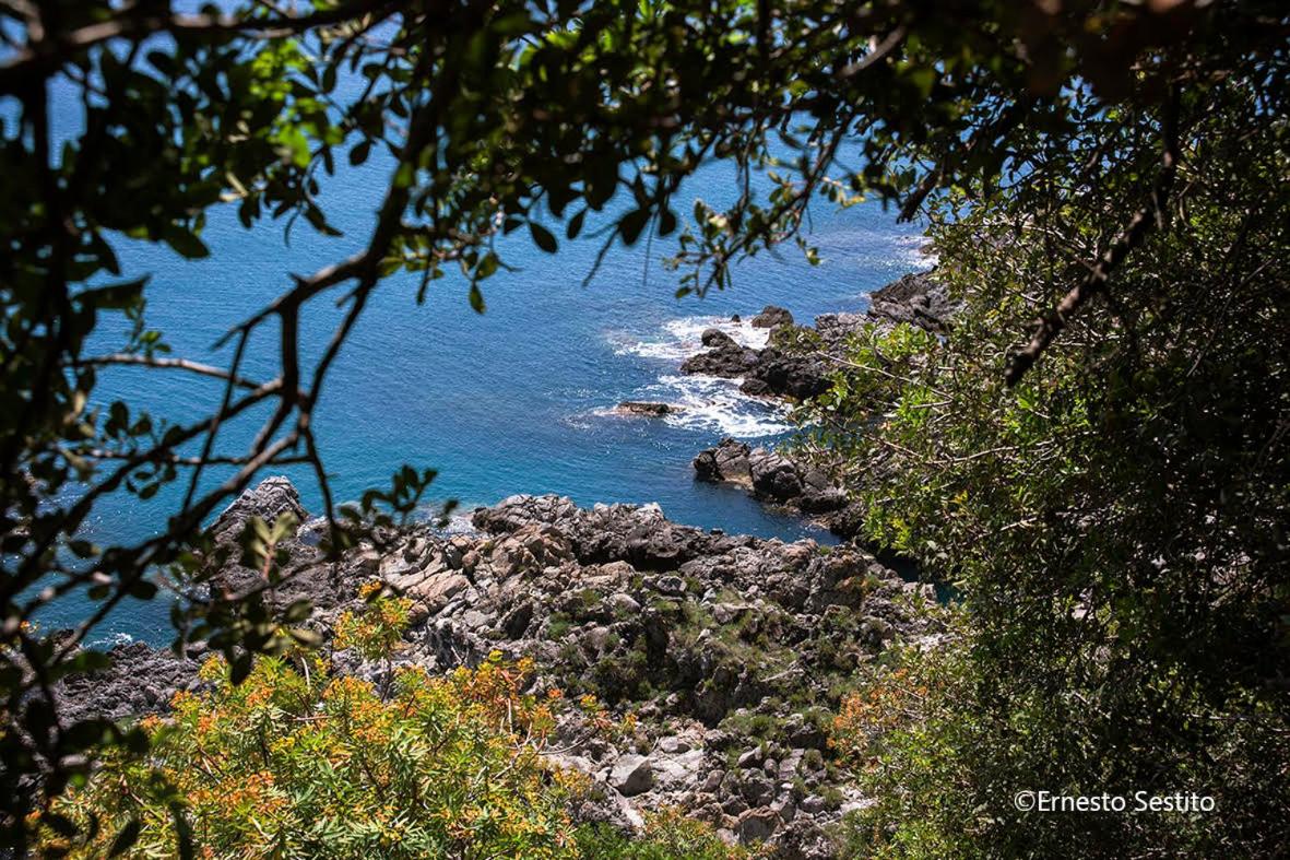 Zion Mare en Soverato Superiore — other