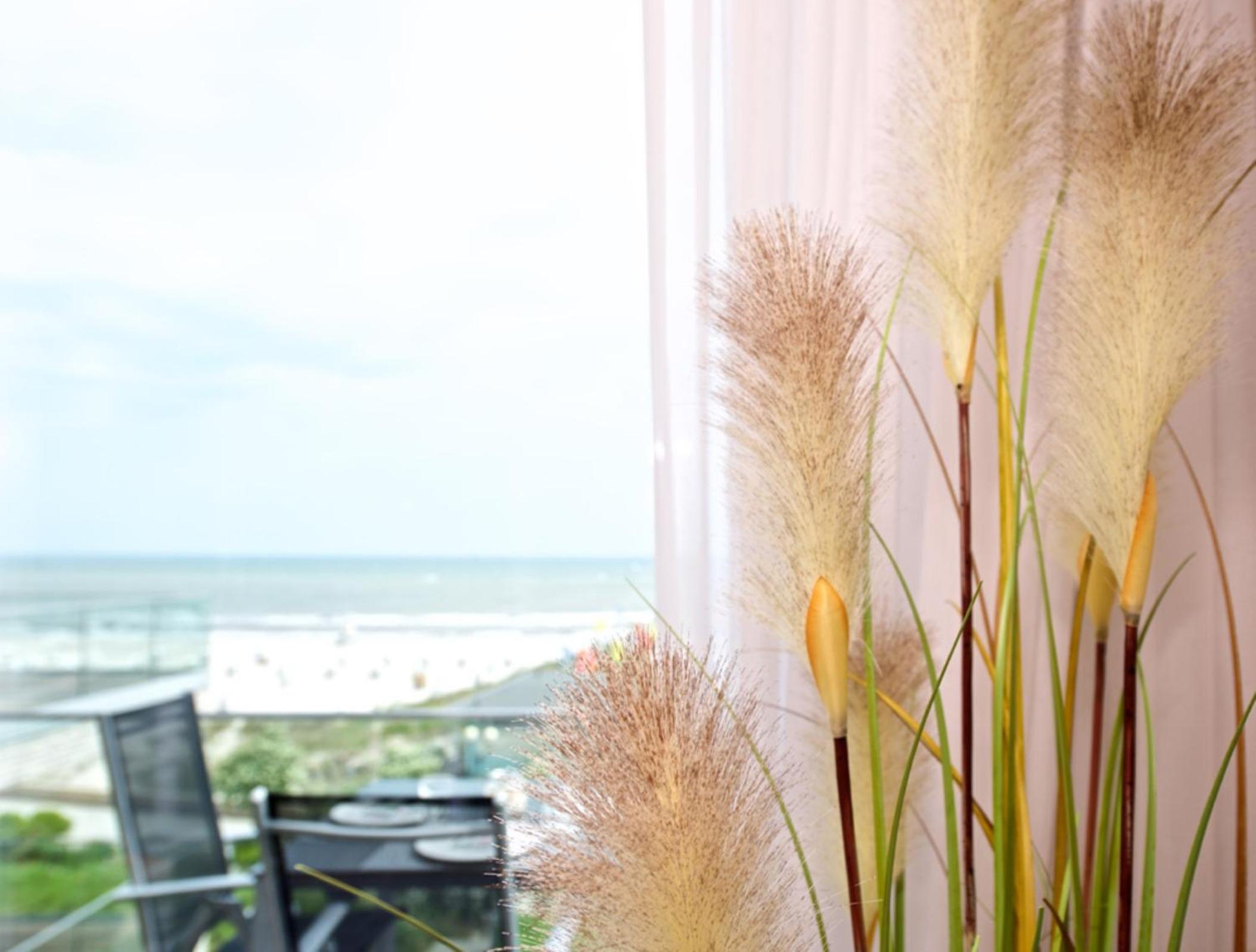 Seeblick Seastar inkl WLAN