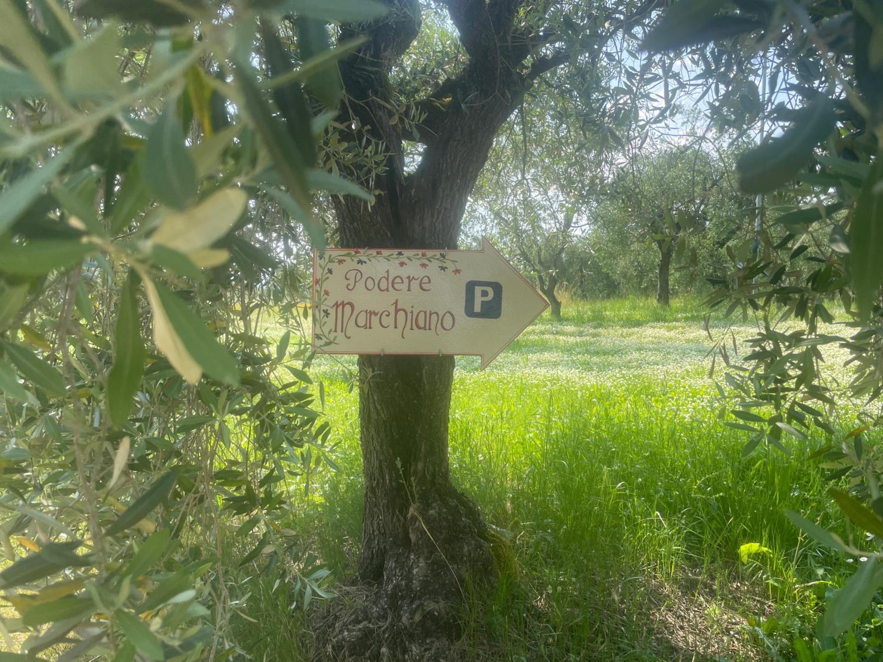 Agriturismo Podere Marchiano