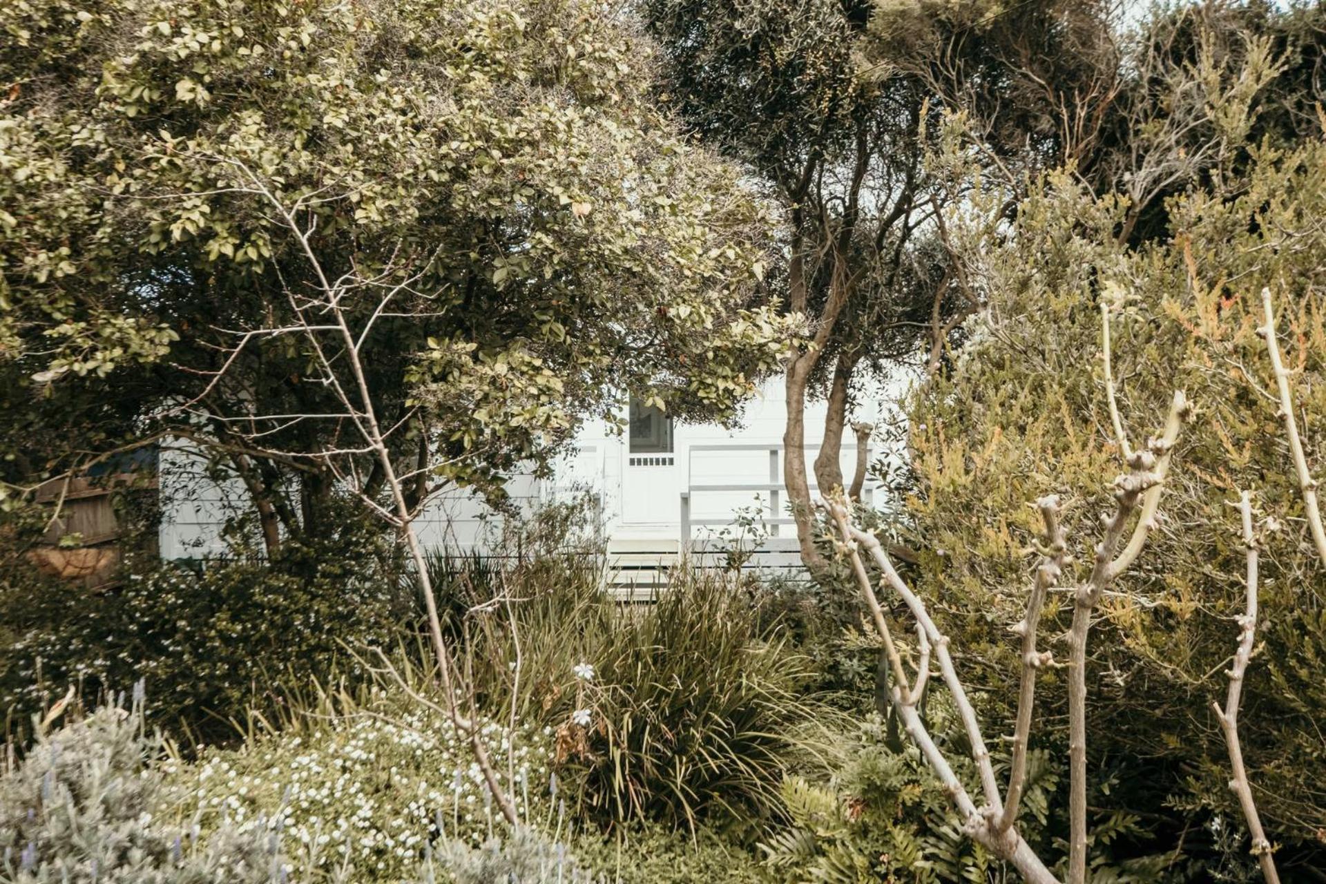 Salt Cottage