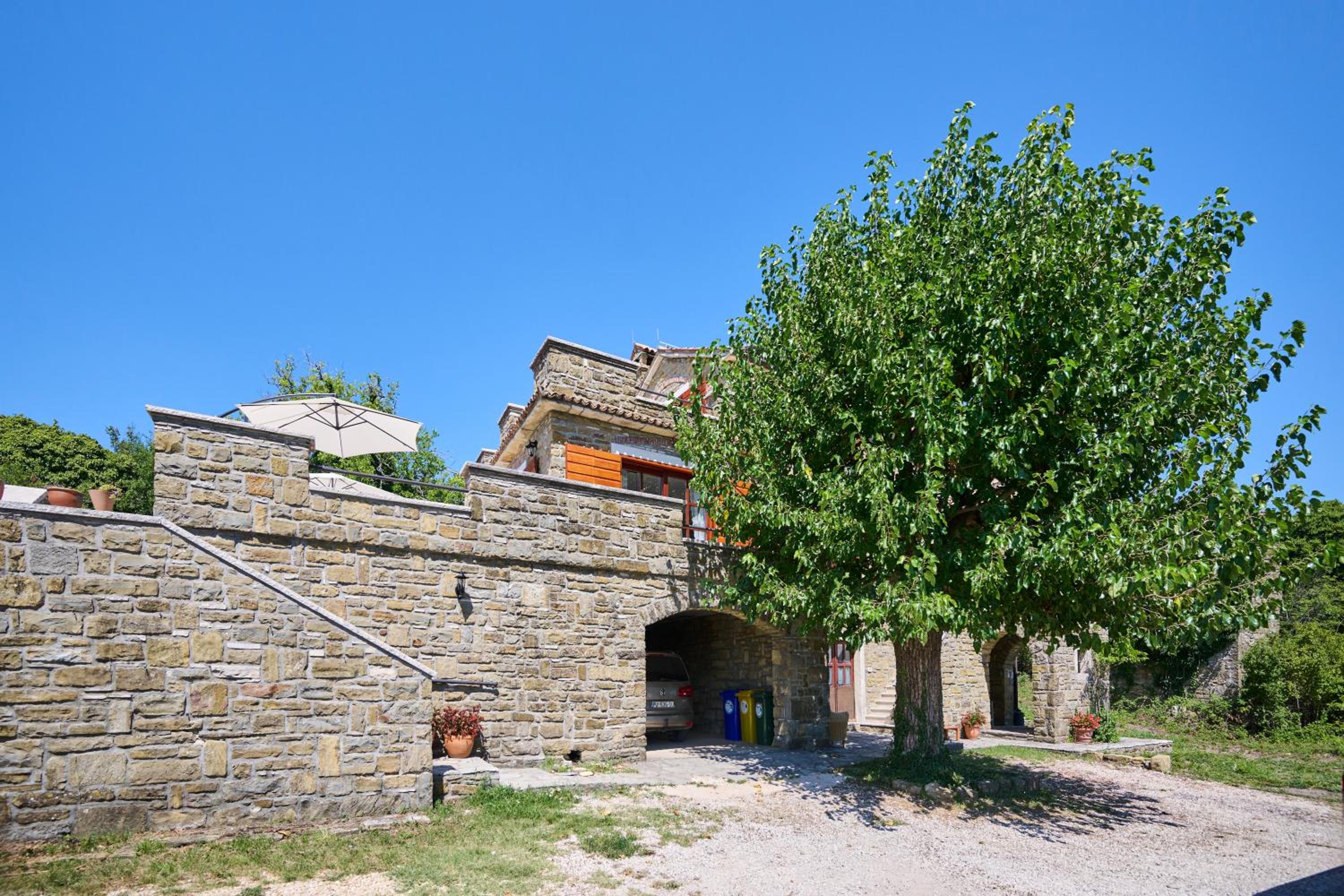 Photo 46