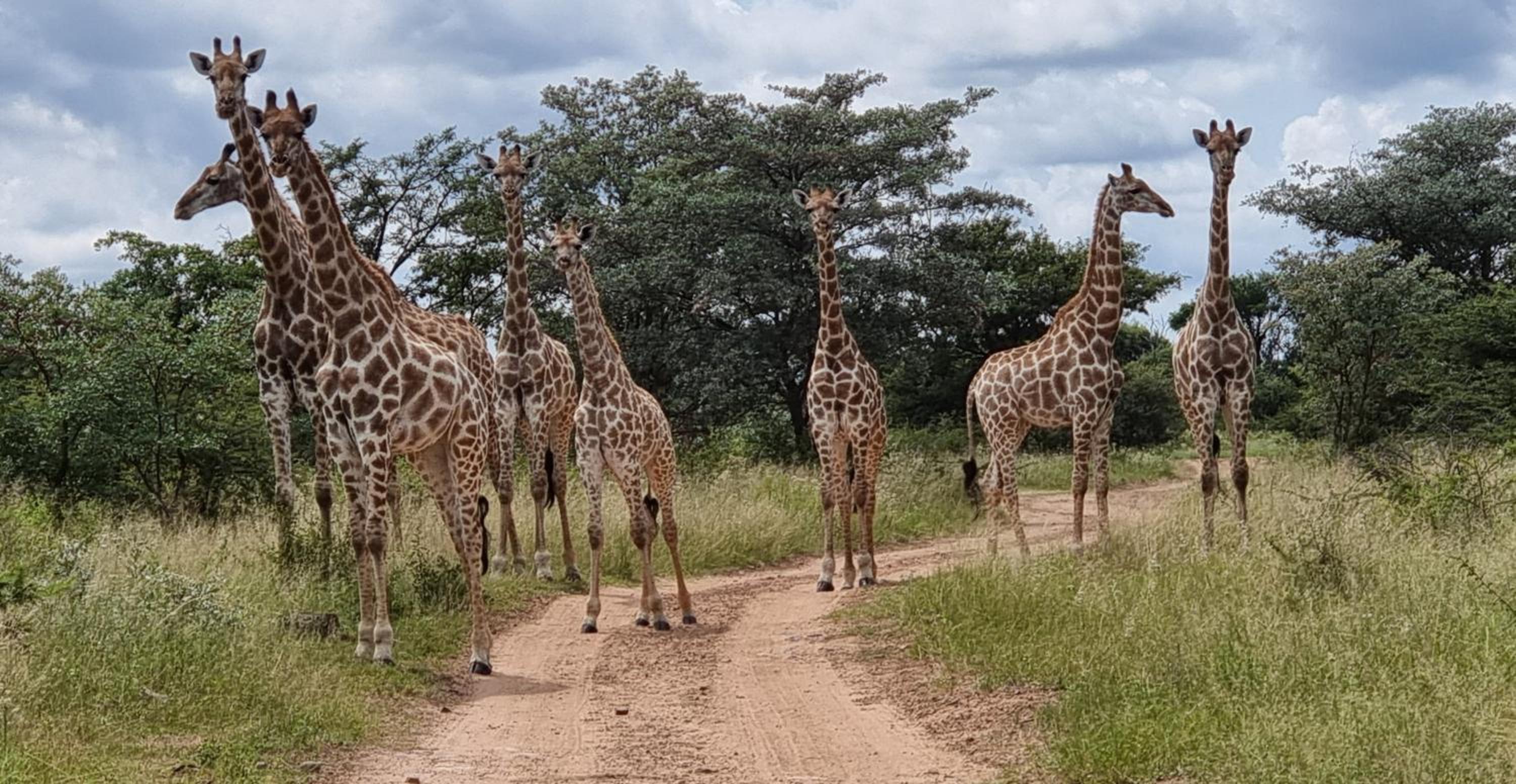 Bushwa Private Game Lodge view 4