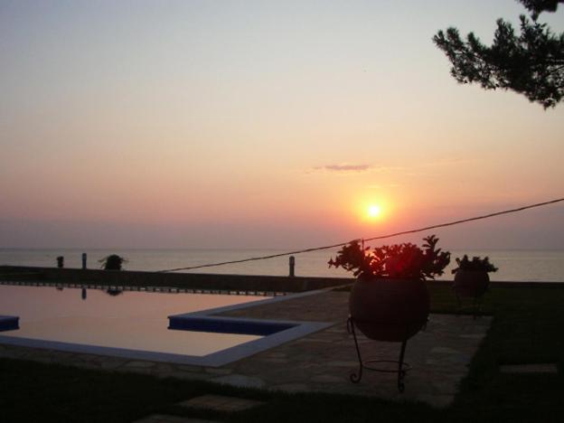 White Shark Villas photo 2