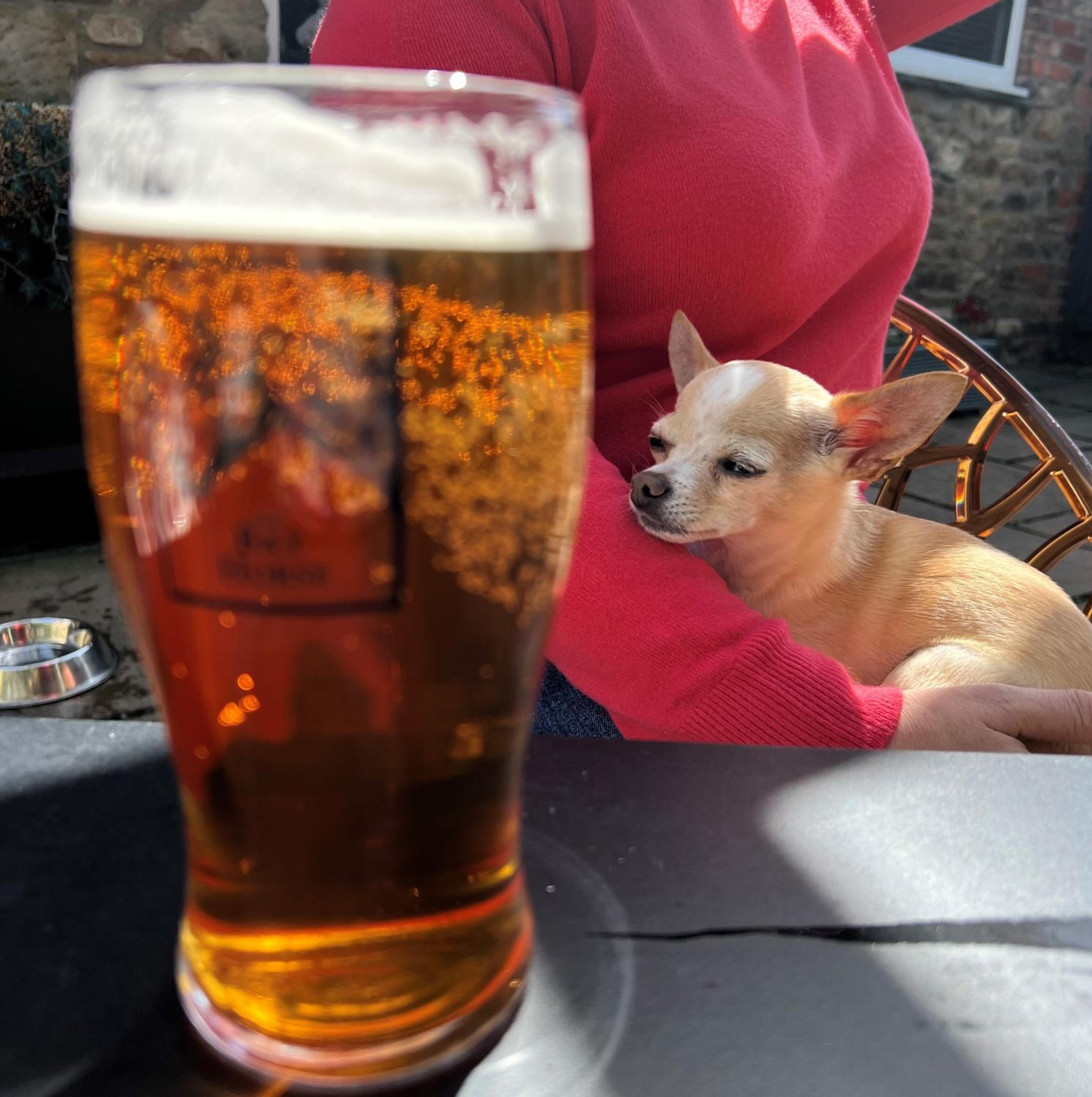 The Bay Horse, Masham
