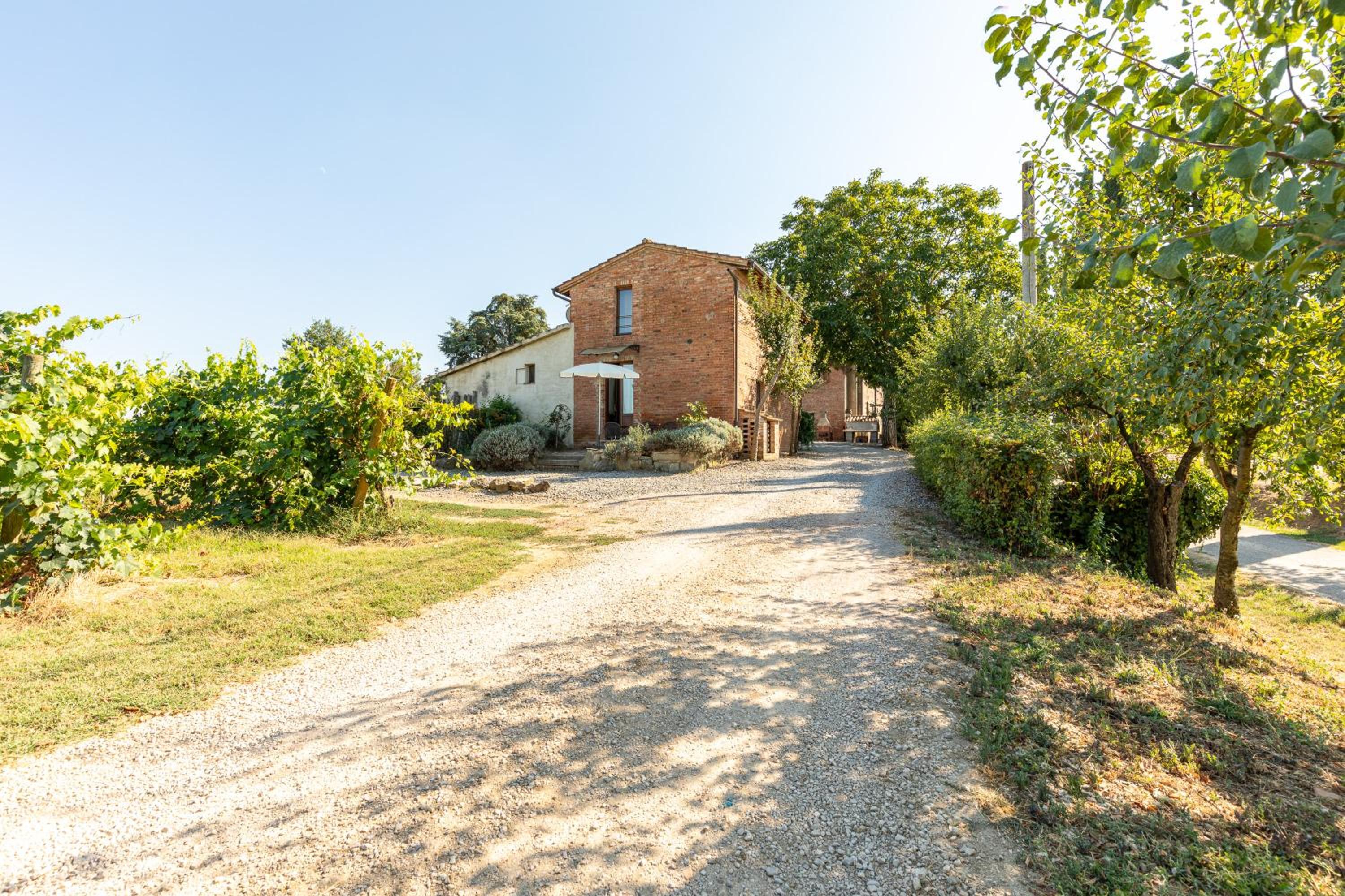 Prugnolo