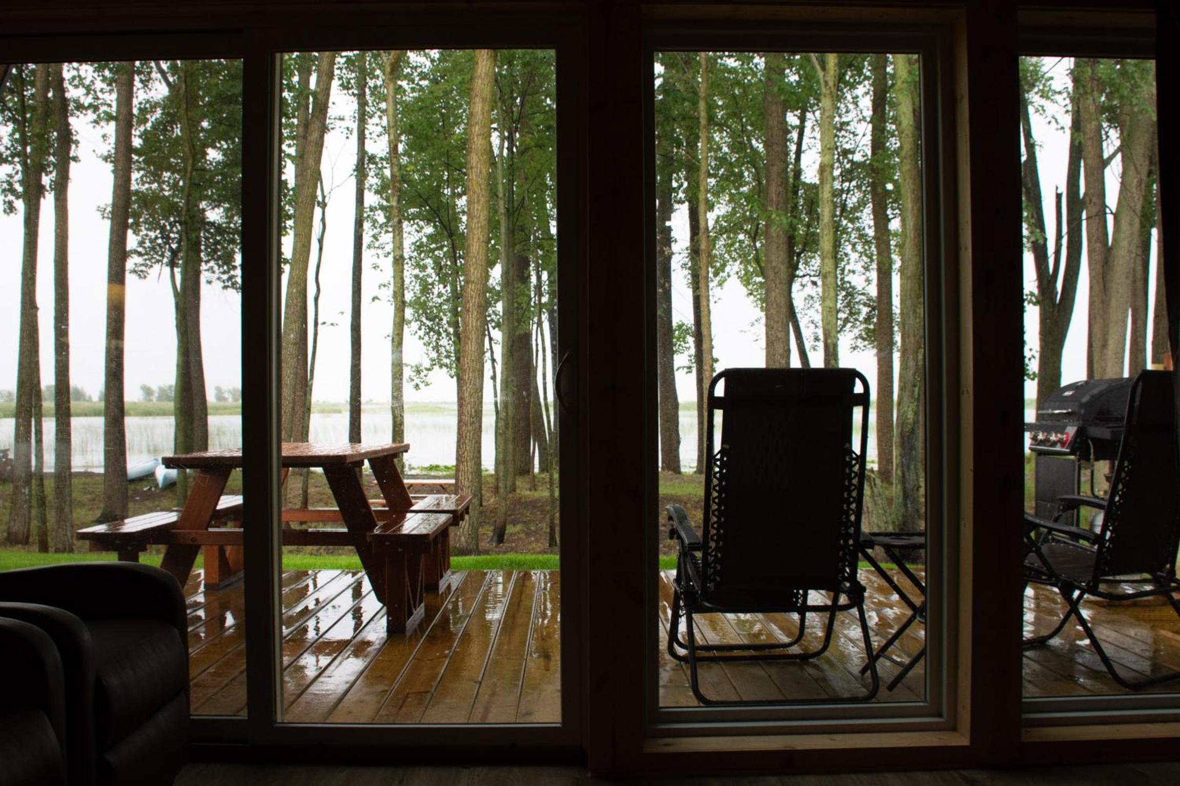 Life's a Hoot view 3
