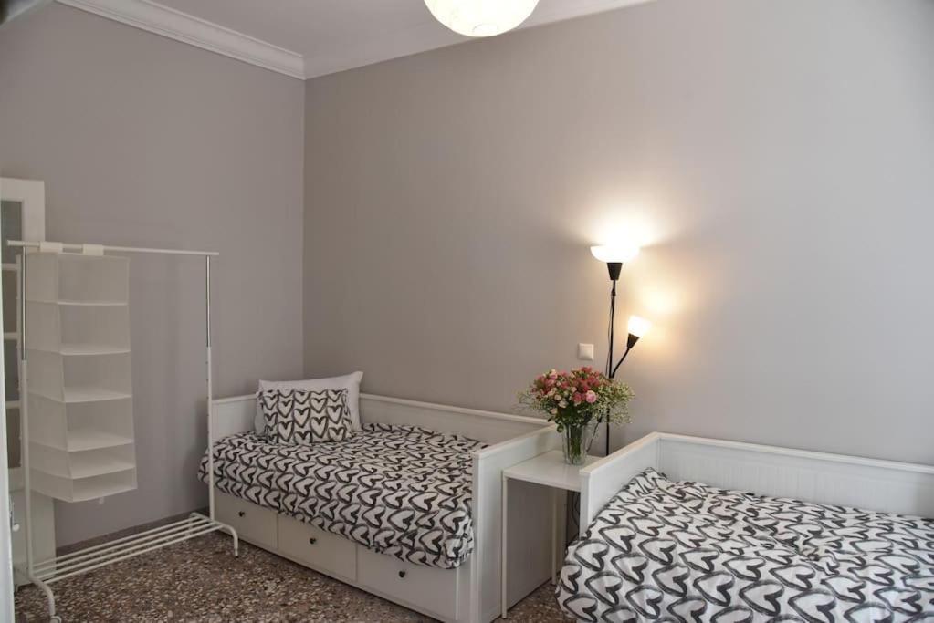 Beautiful, Private Home Close to Athens Center