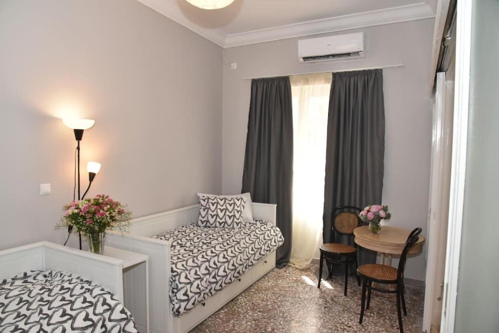 Beautiful, Private Home Close to Athens Center