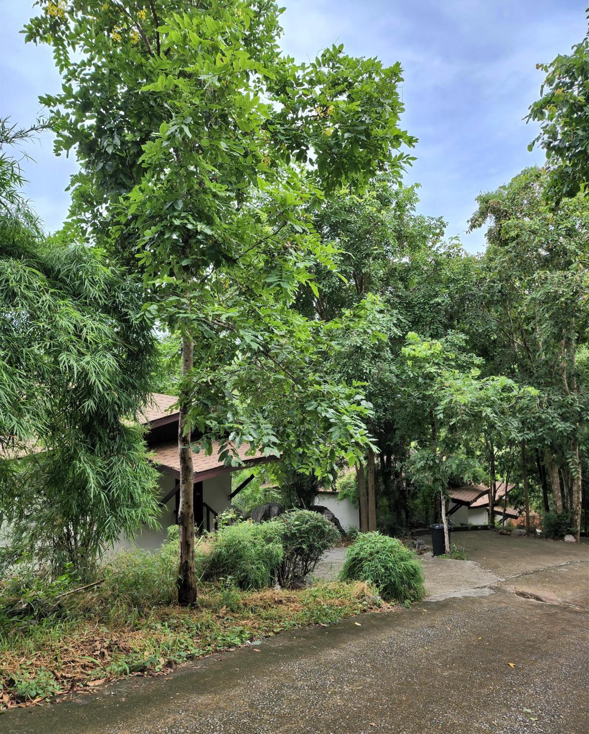 Hua Hin Home Hill