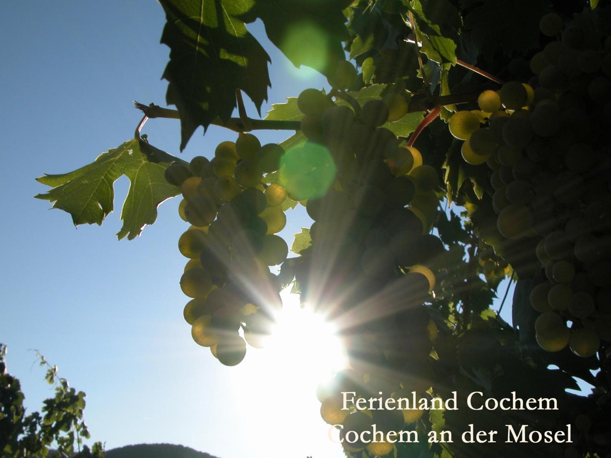 Ferienwohnungen Ferienland Cochem view 3