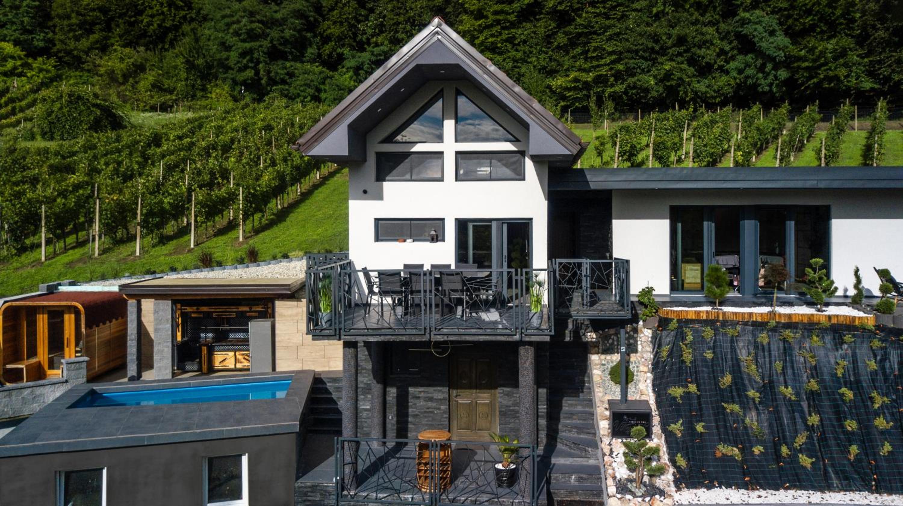Villa in the Vineyard with Pool, HotTub & Sauna view 5