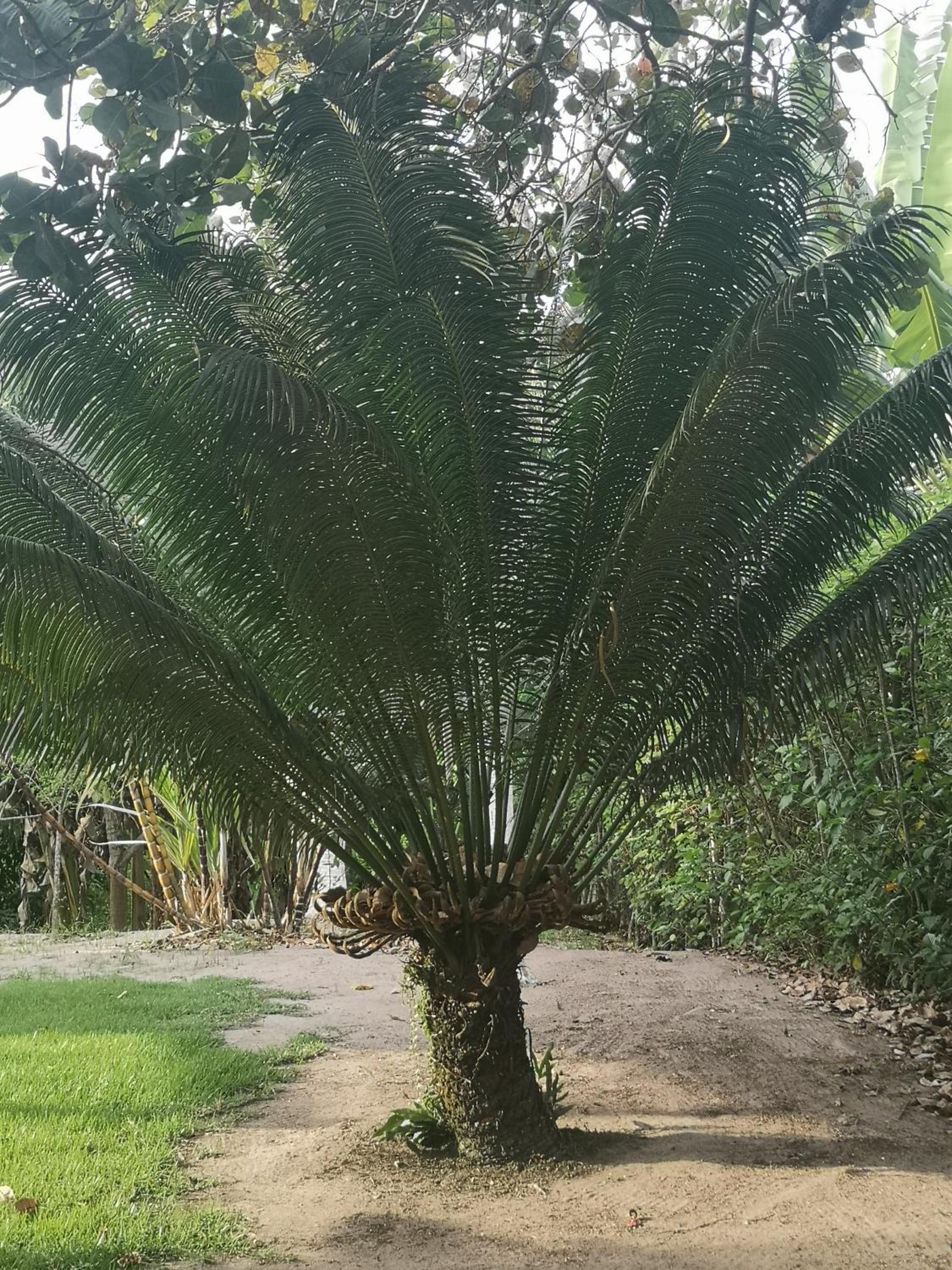 Chacara Hardmeier