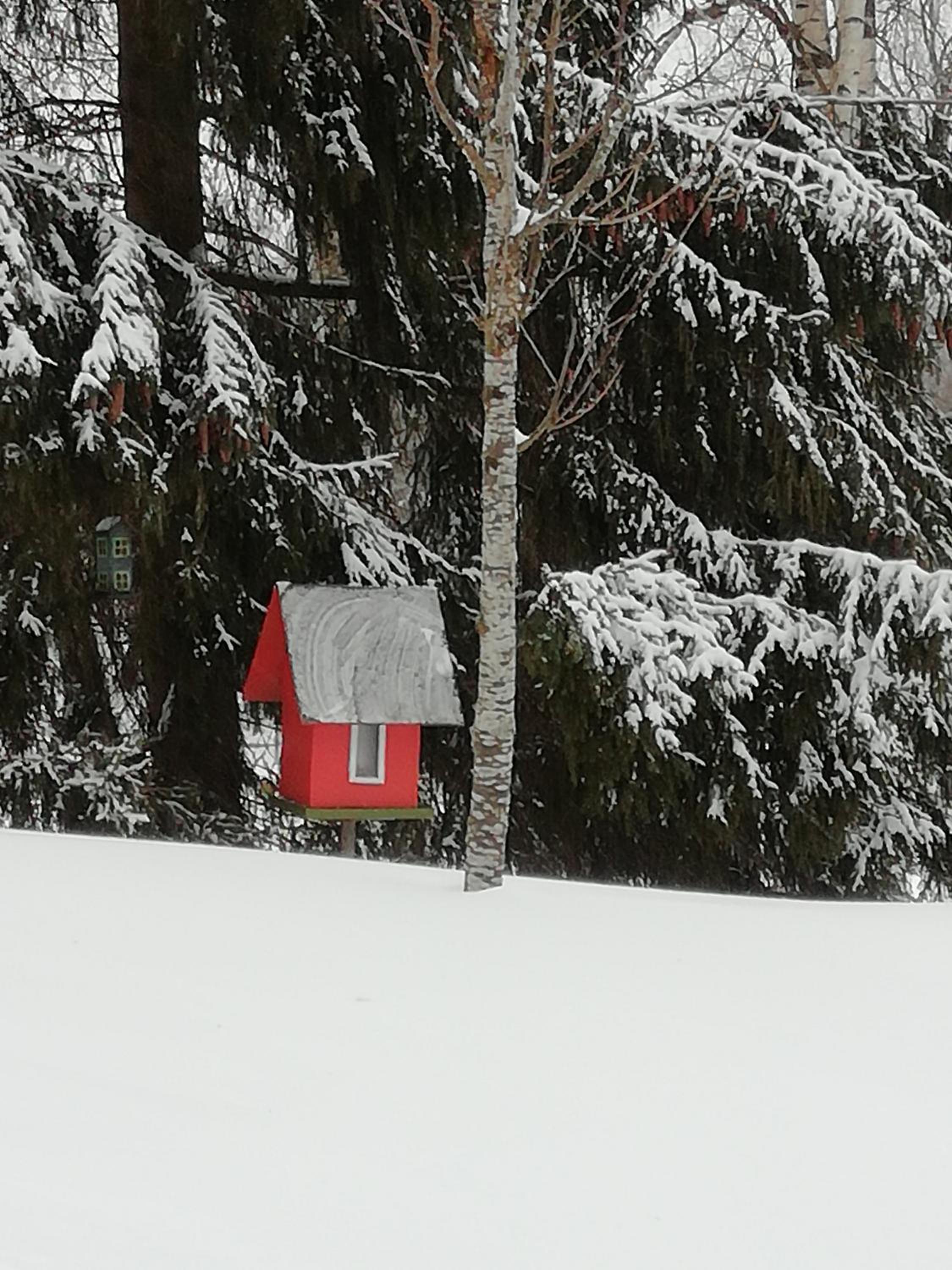 Villa Koskikorento