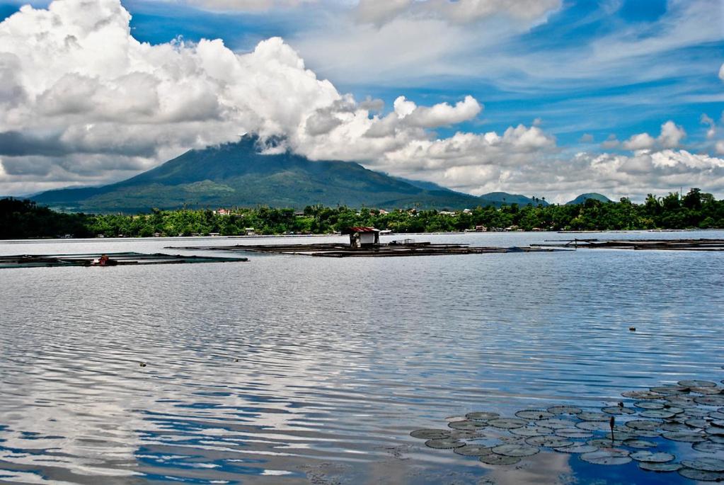 Kelys Transient San Pablo Laguna, photo 16