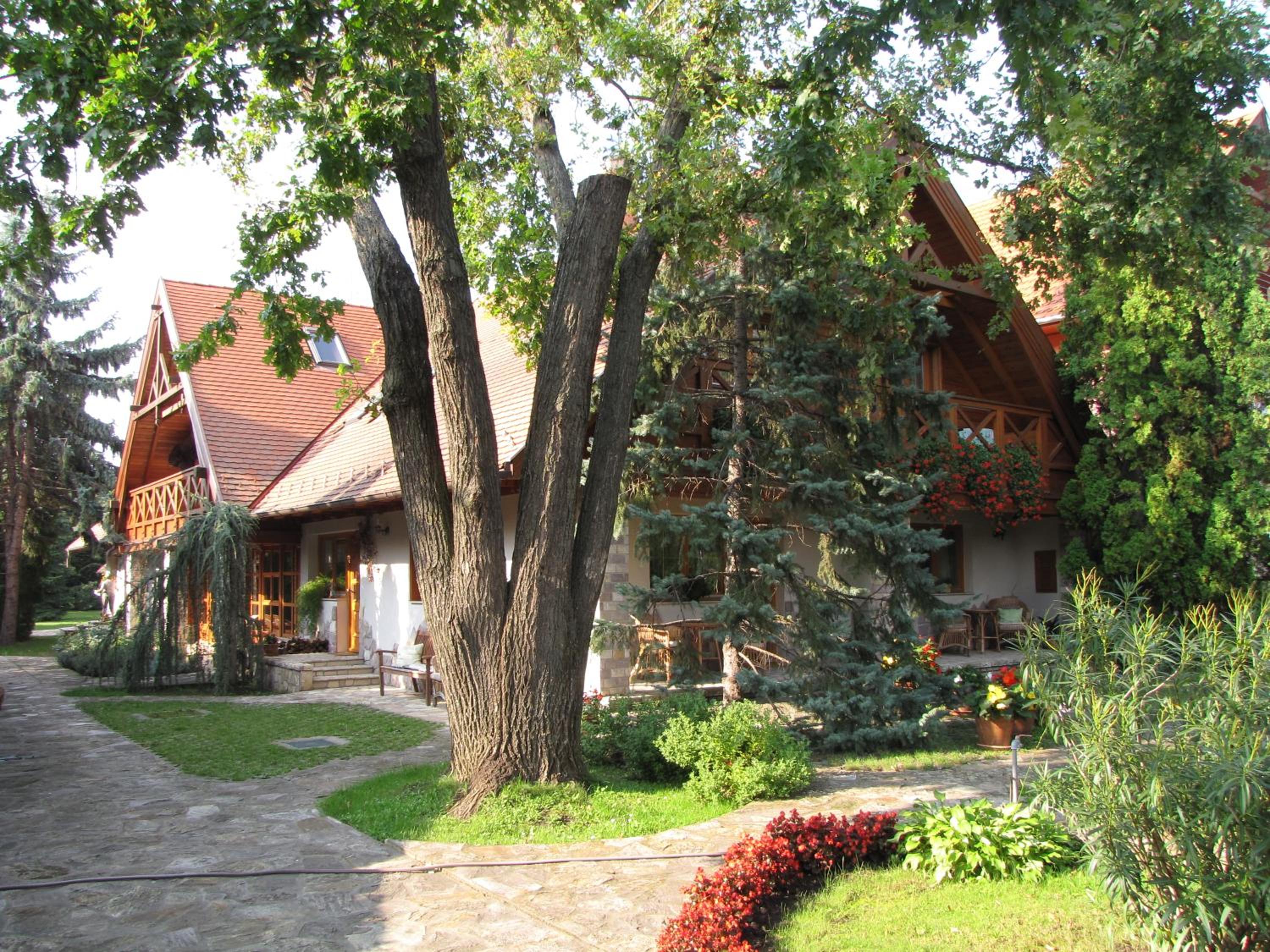 Photo 11