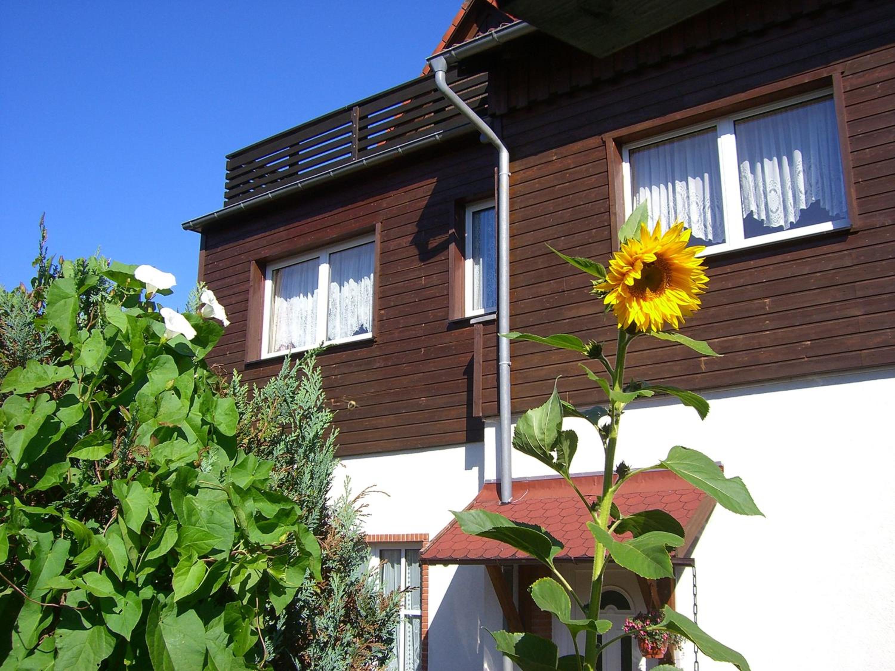 Pension Königshof
