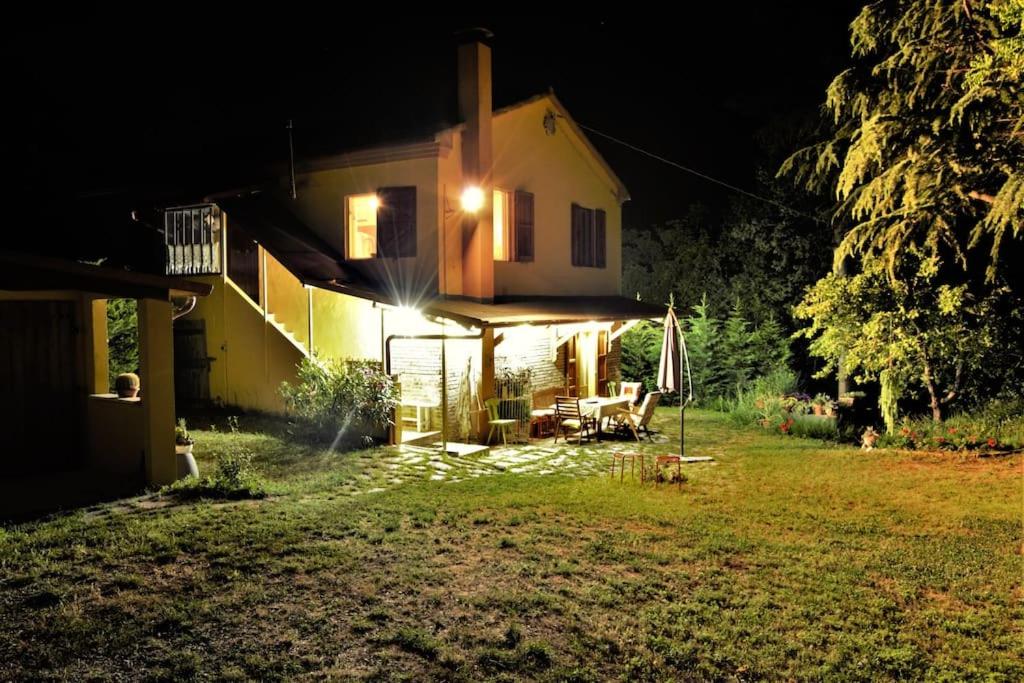 Photo 24
