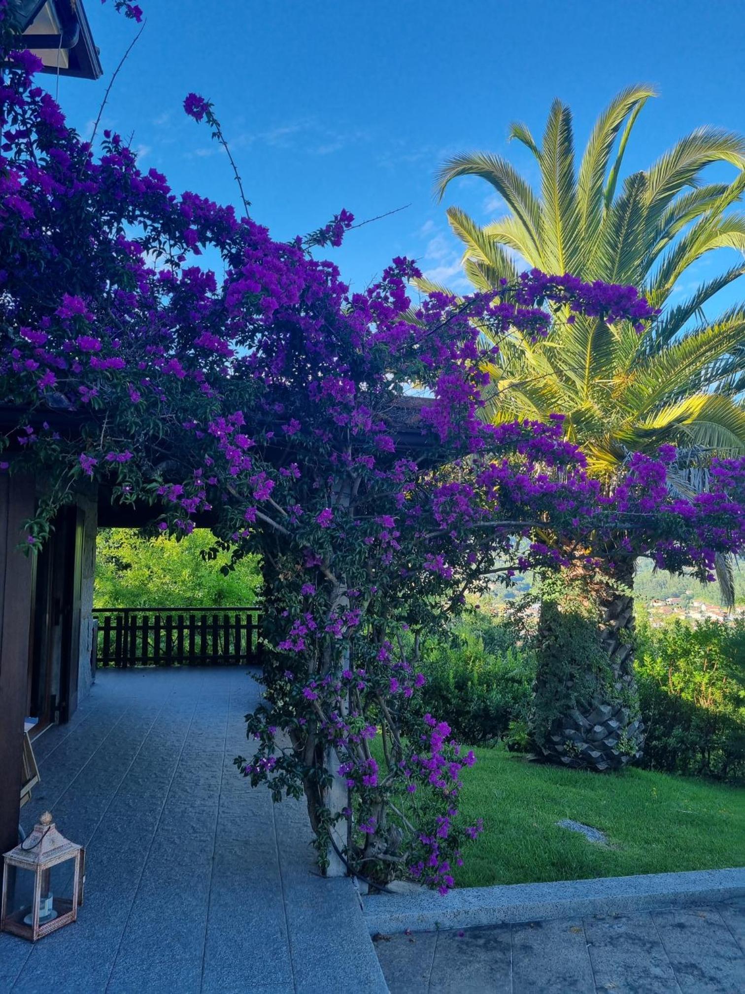 A Quinta do Refúgio