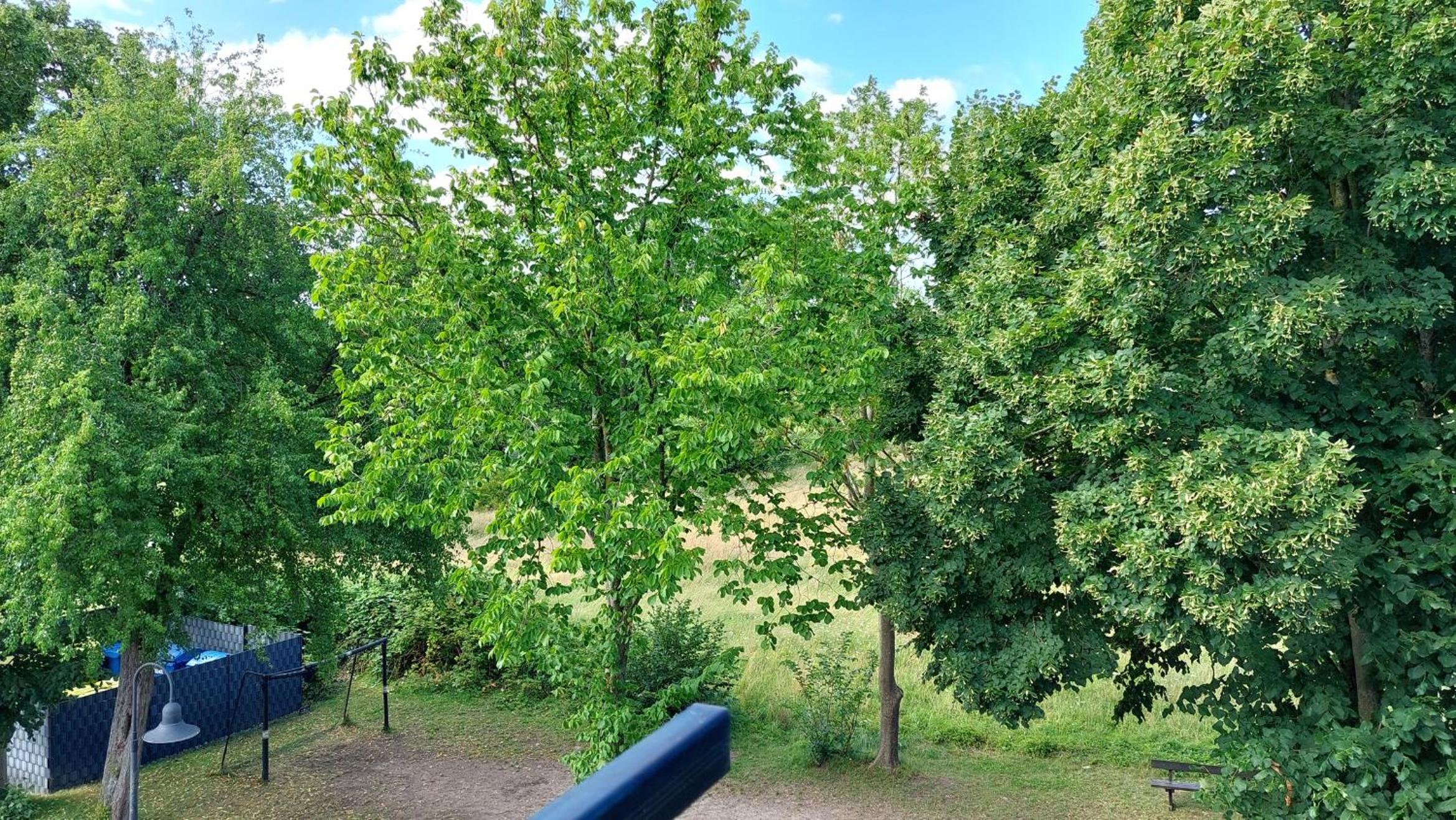 Ferienpark Seedorf by Rujana