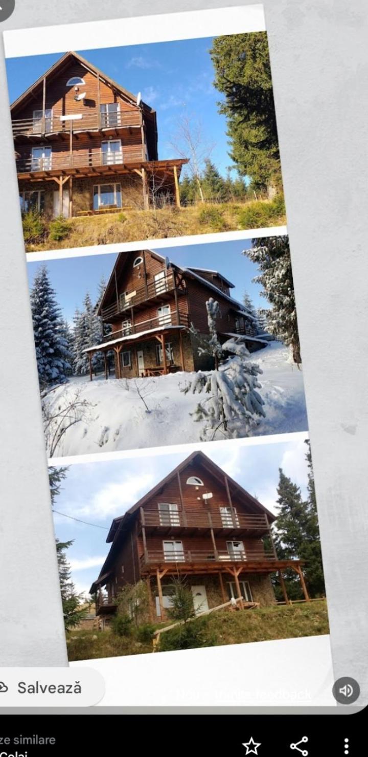 Casa din Zori