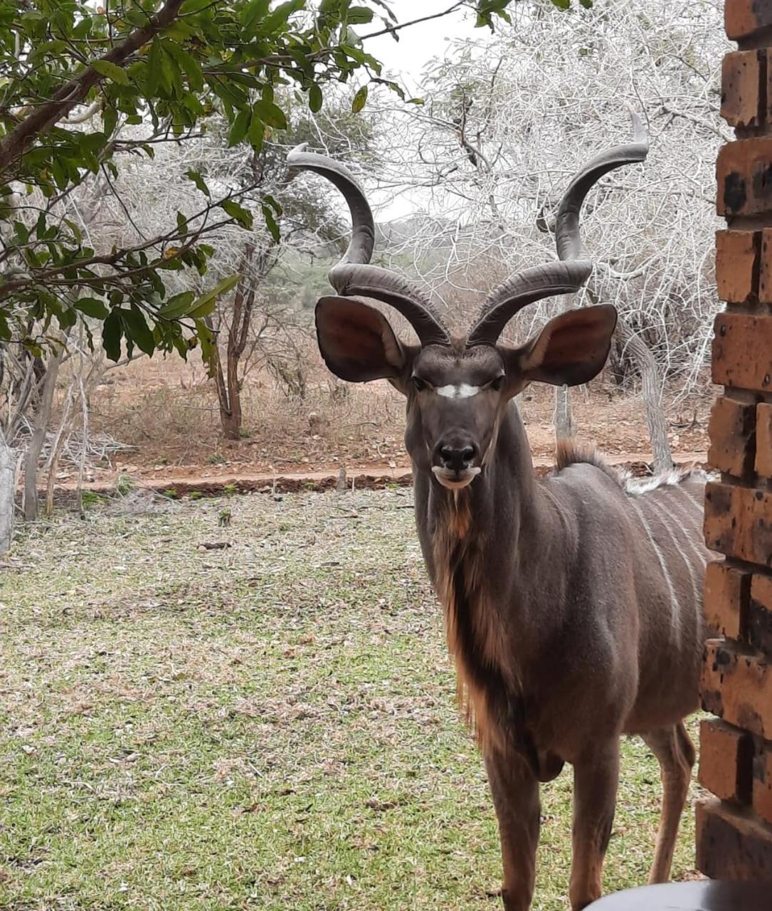 Kruger Riverside Lodge - No Load-shedding