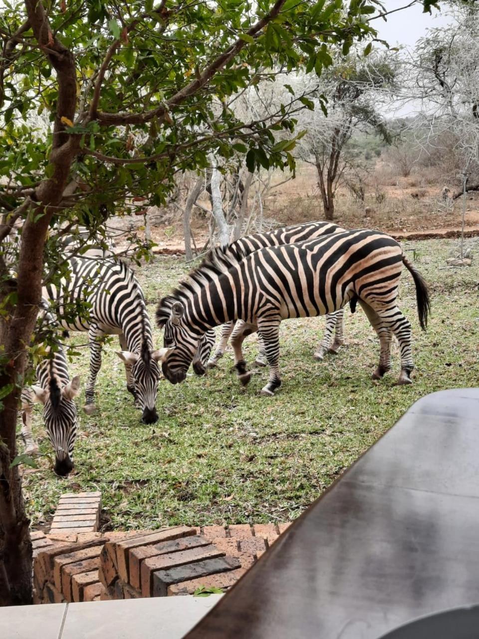 Kruger Riverside Lodge - No Load-shedding