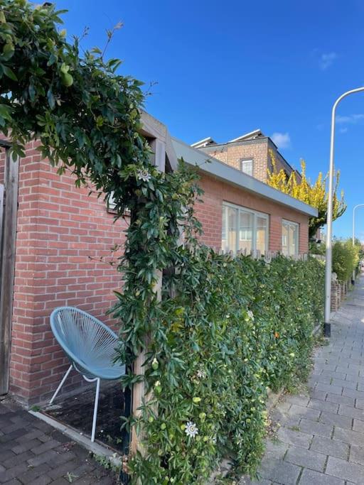 Tiny House Noordwijk aan Zee view 2