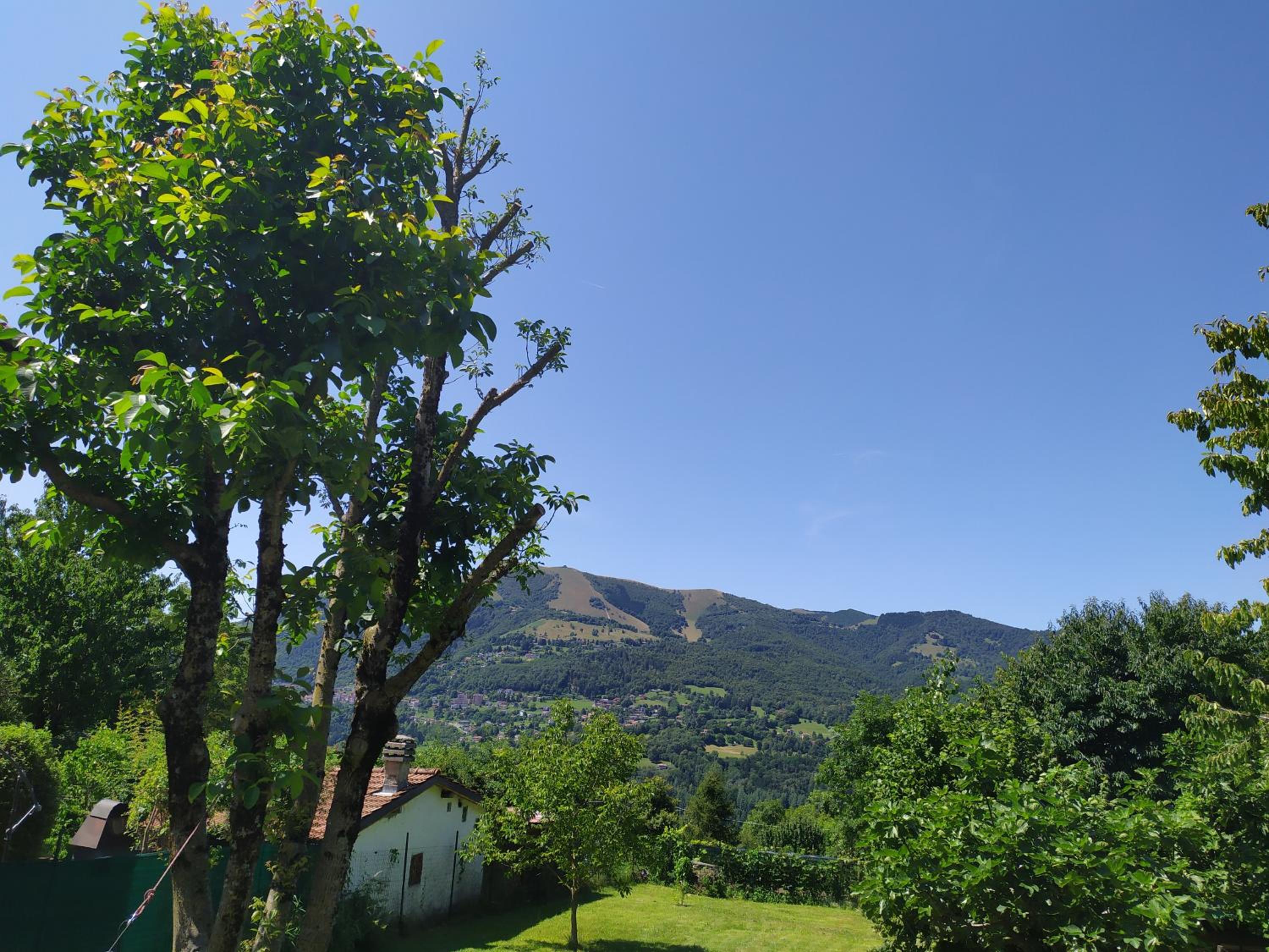 Casa La betulla view 4