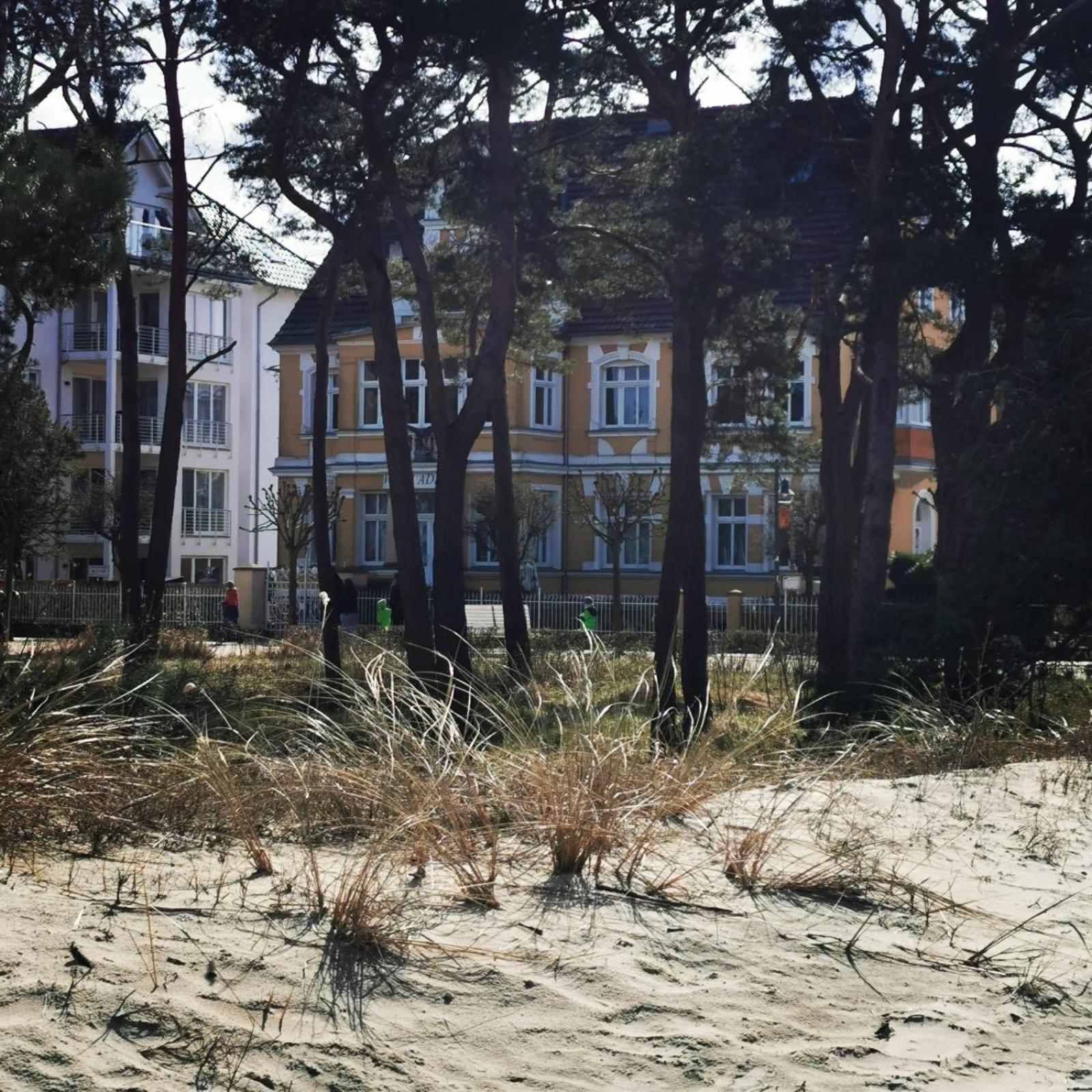 Villa Adler- Seeseite