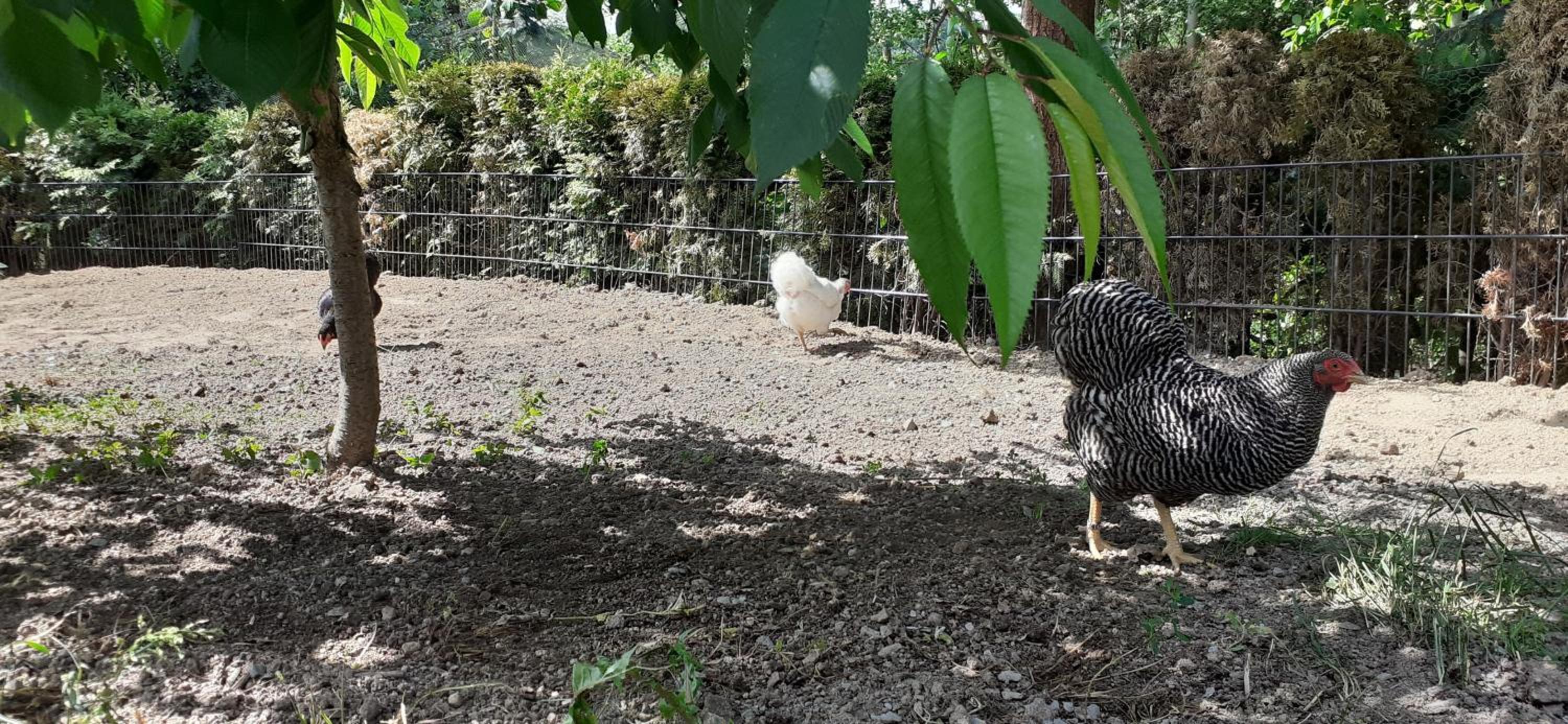 Ferienwohnanlage Zur Himmelsleiter