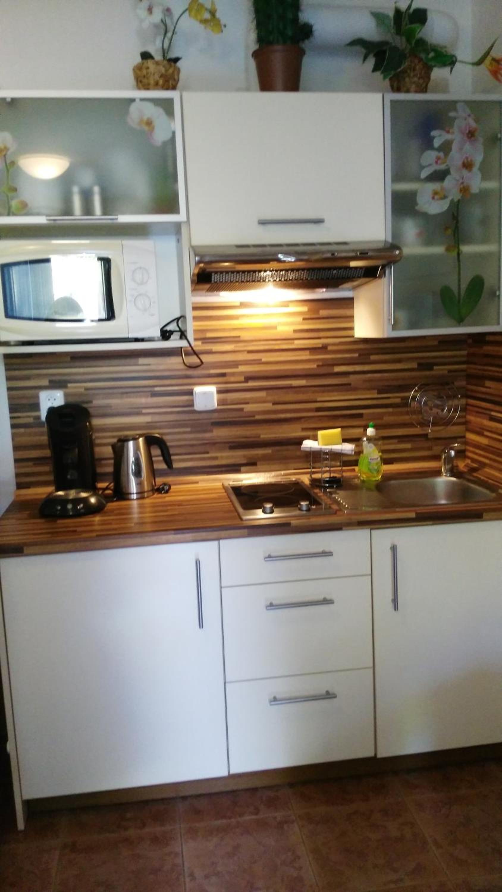 Apartman LEO Nr. 8 Lipno nad Vltavou