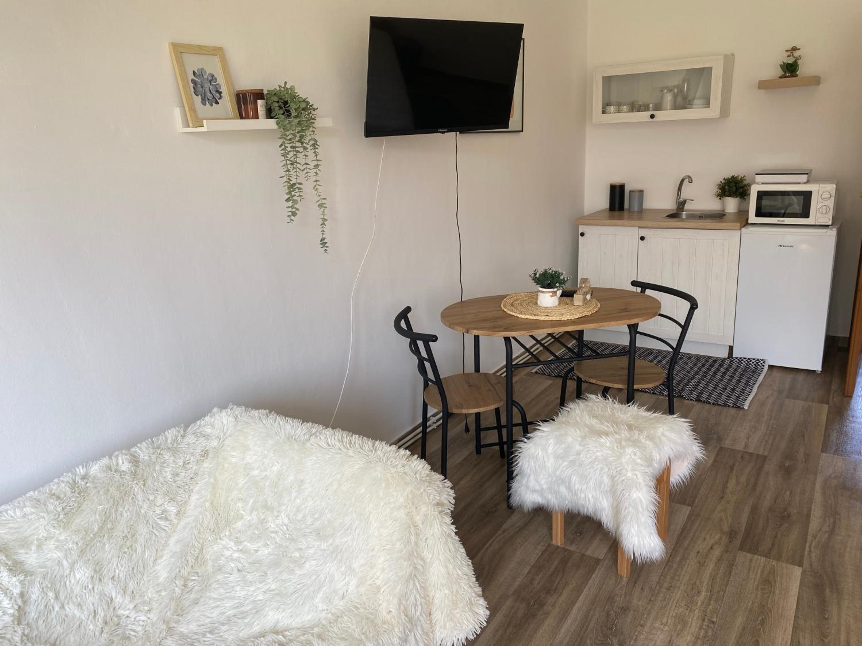 Apartmán v koňském areálu Židovice