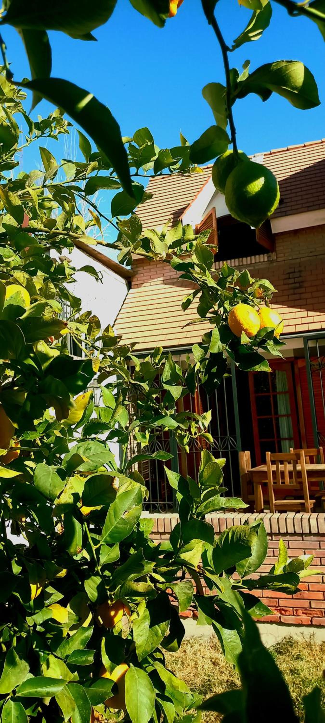 Casa Bravo