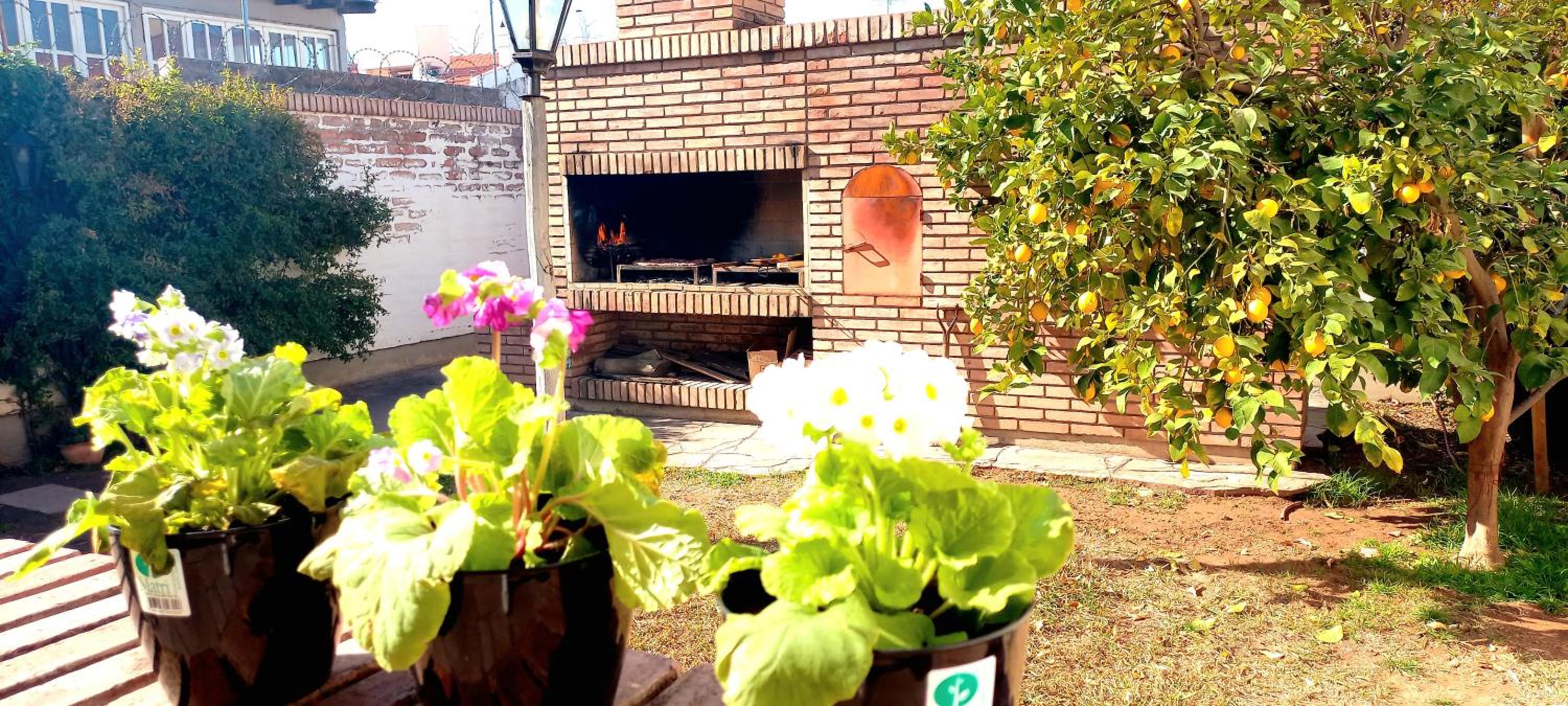 Casa Bravo
