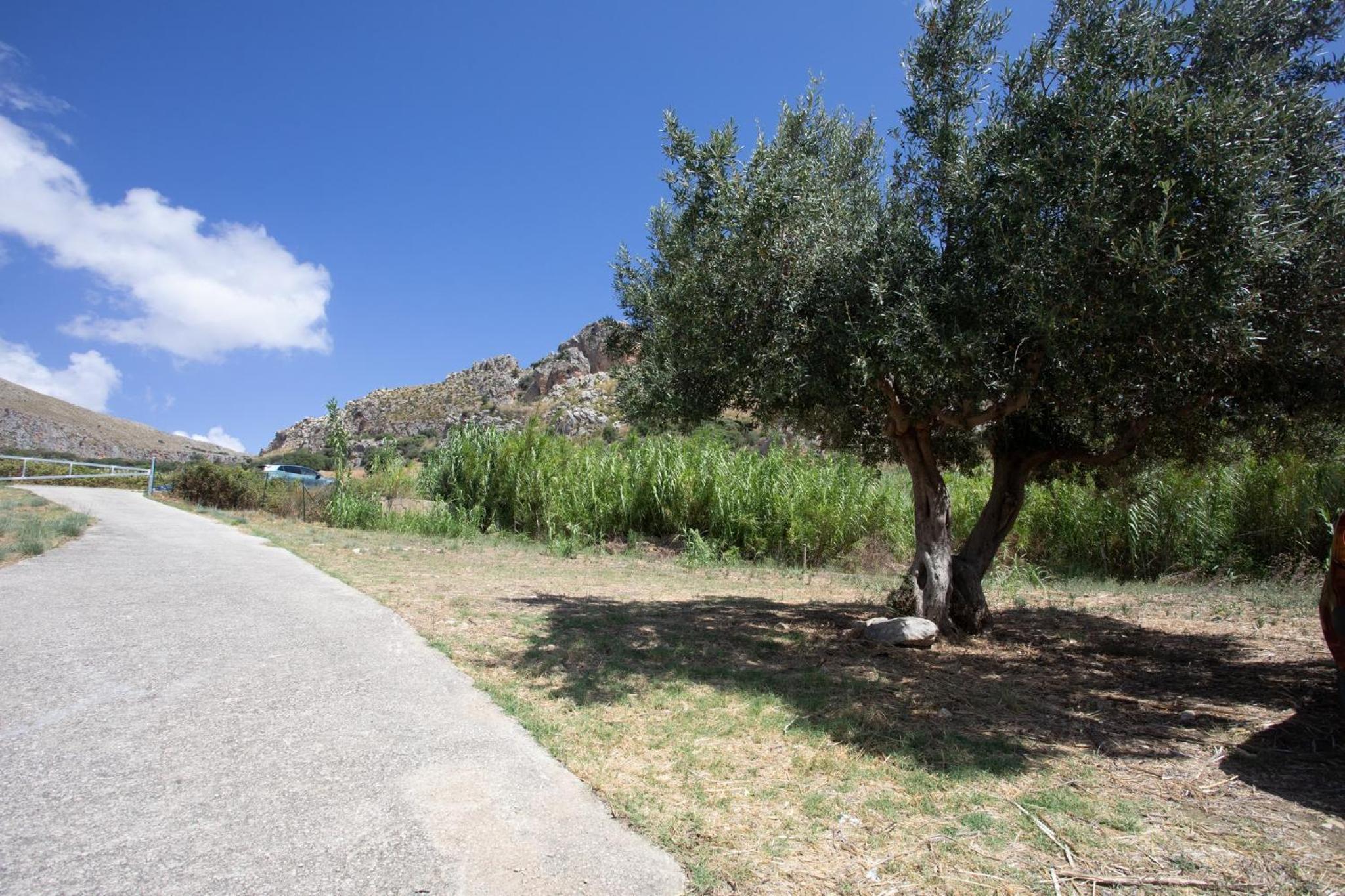 Lovely Sicilian Countryside Home view 4
