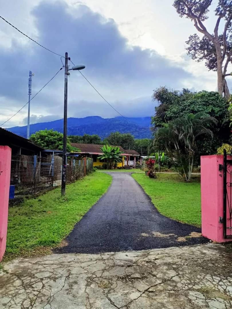 Homestay D'reendang photo 4