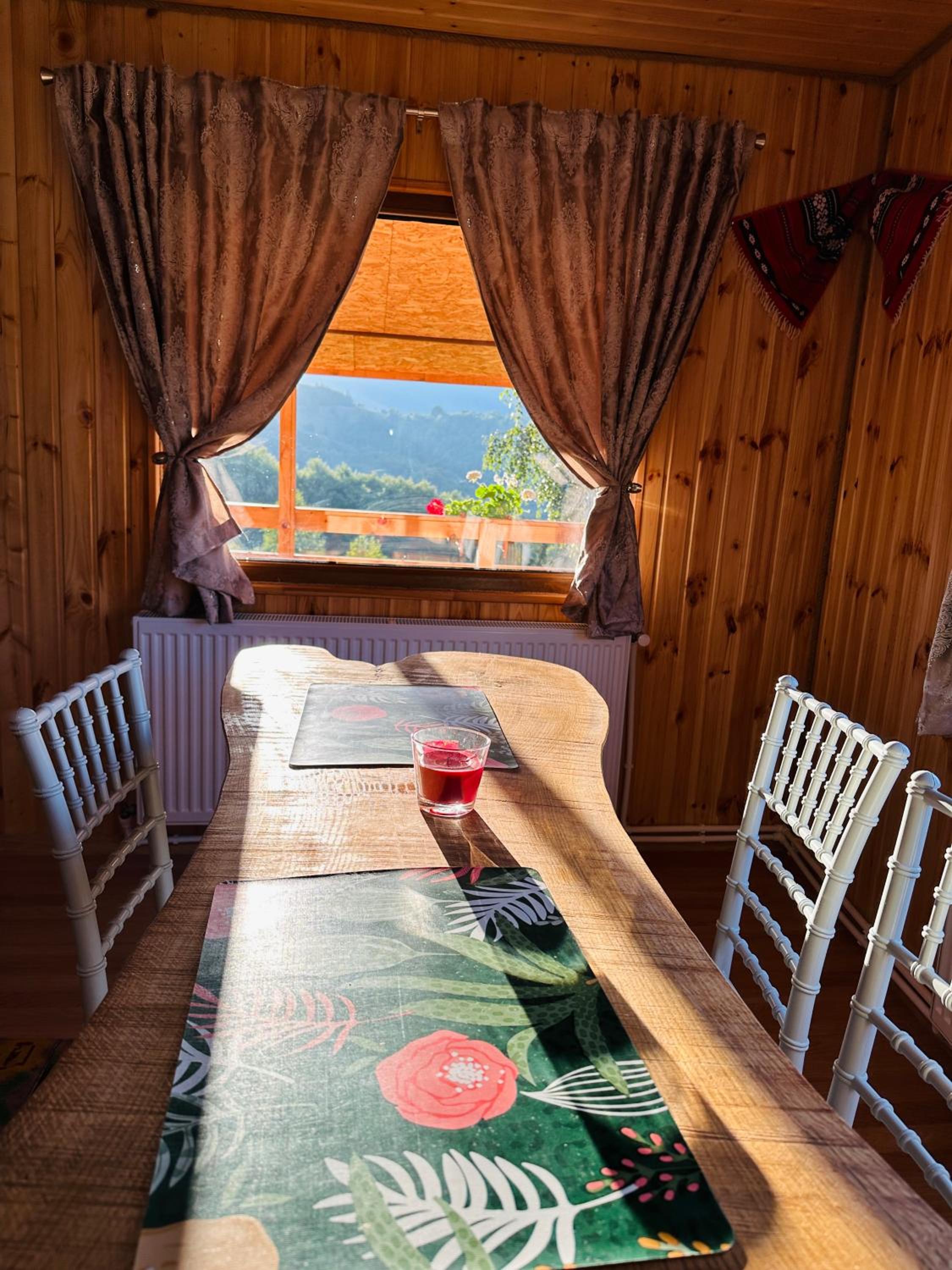 Cabana doi mesteceni