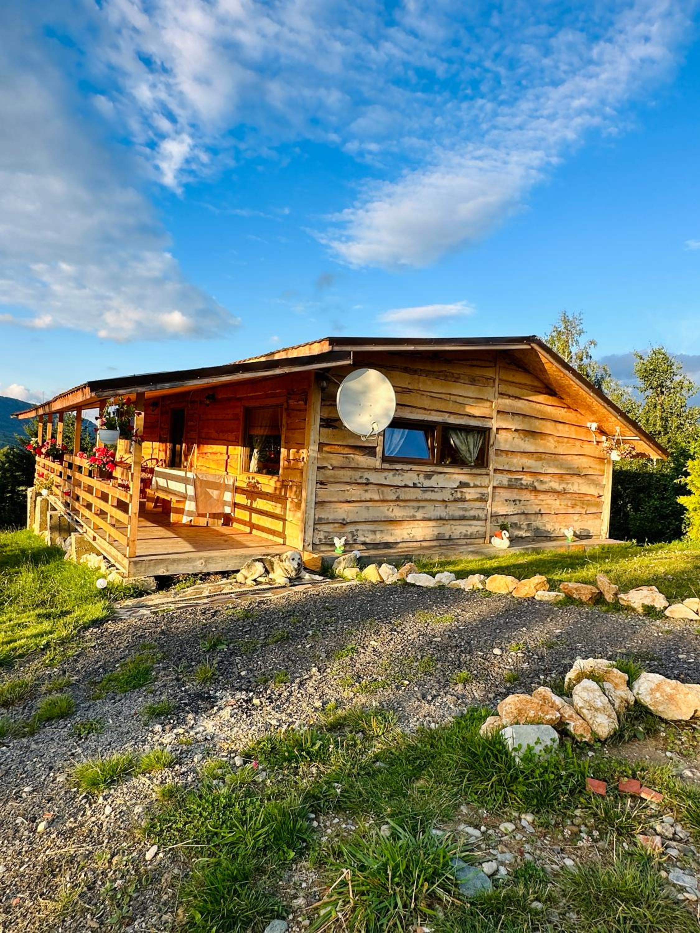 Cabana doi mesteceni
