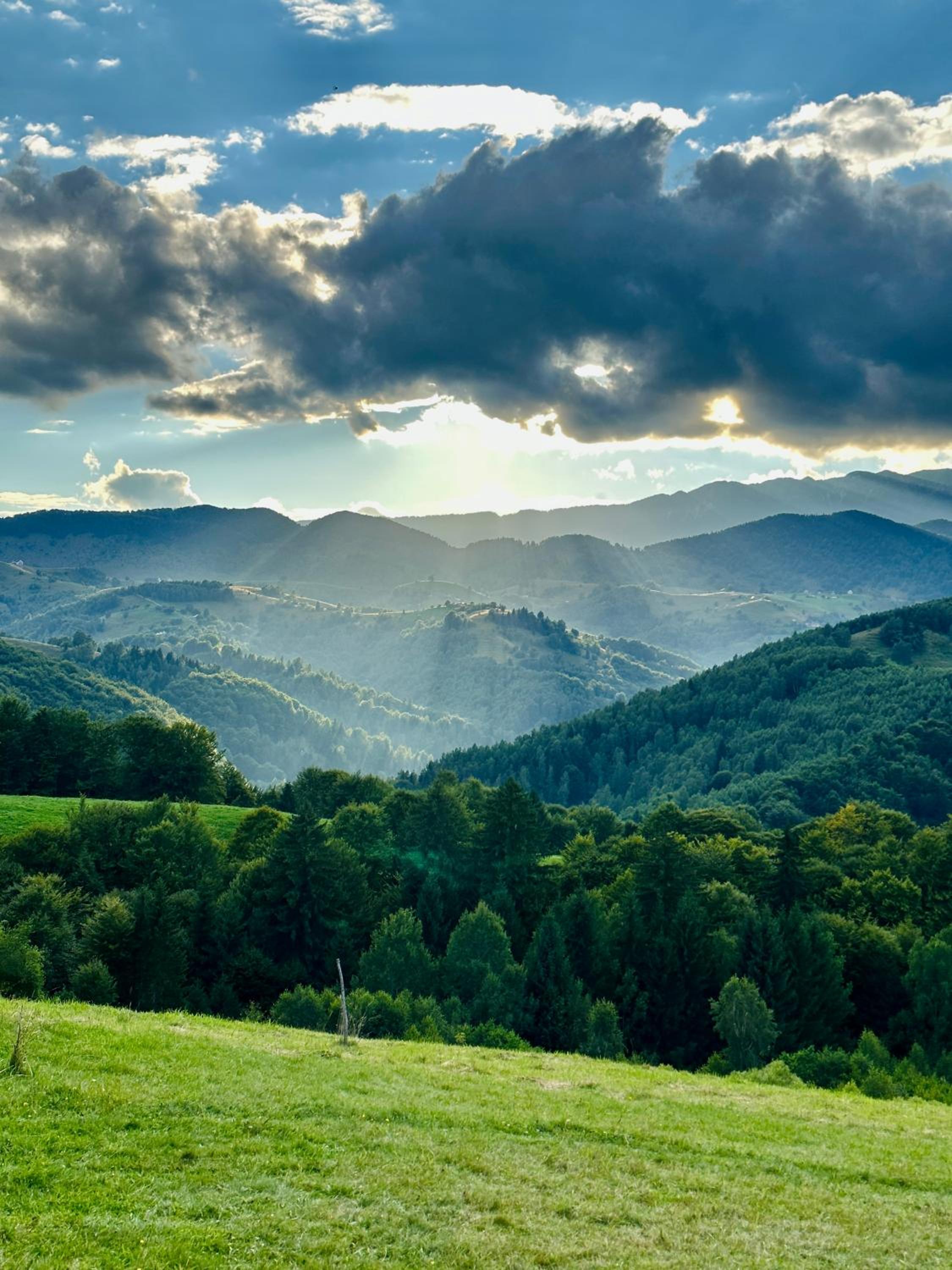 Cabana doi mesteceni