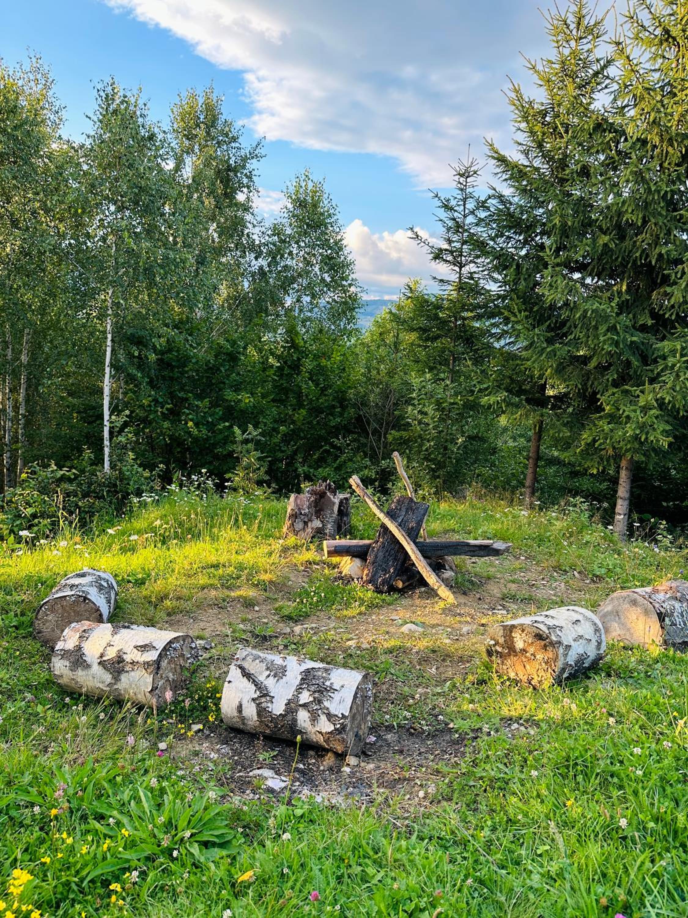 Cabana doi mesteceni