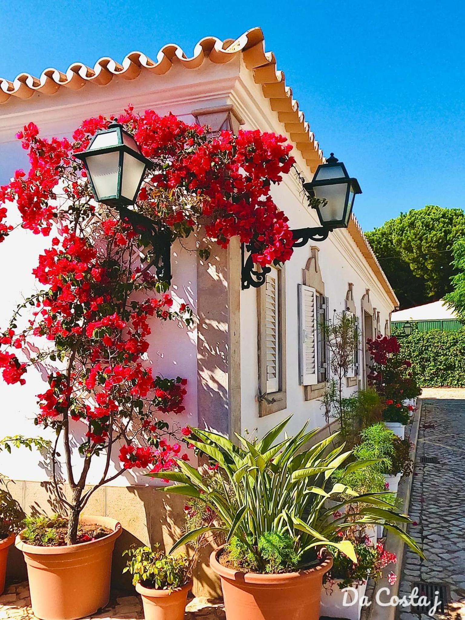 Villa das Buganvilias